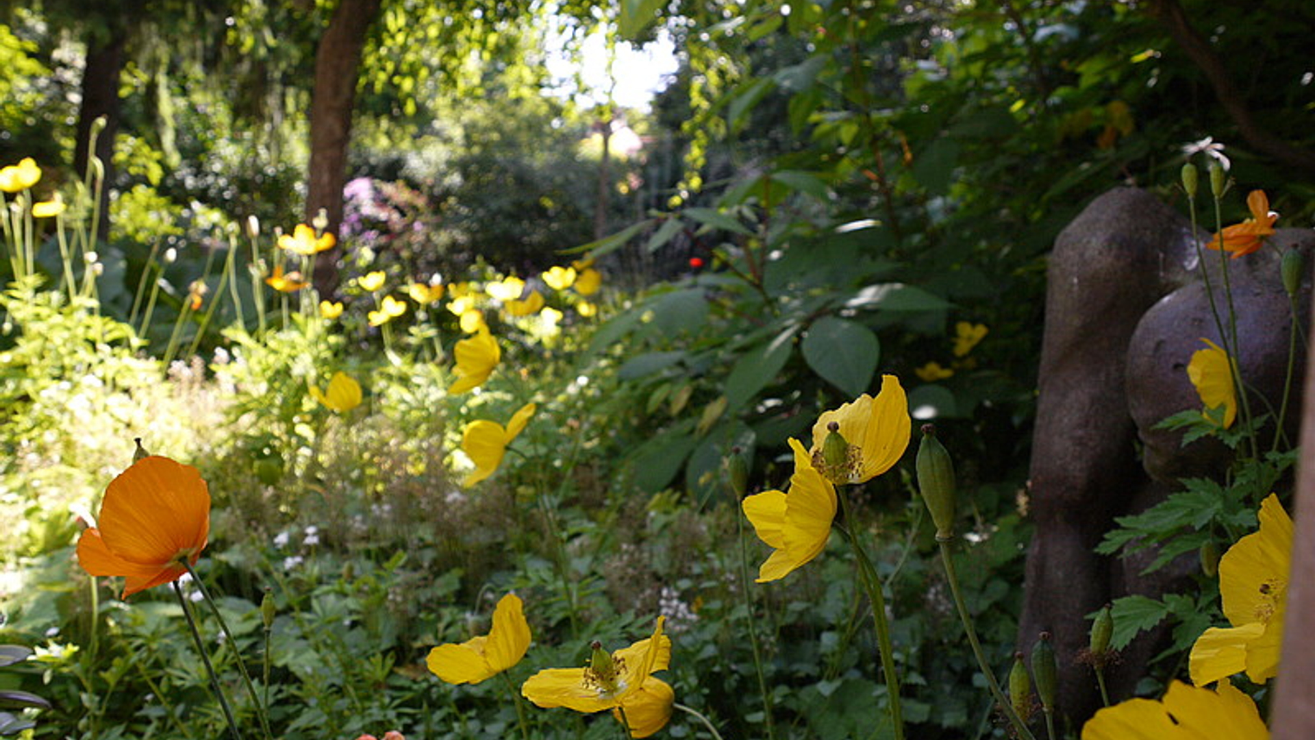 tuin_06.jpg