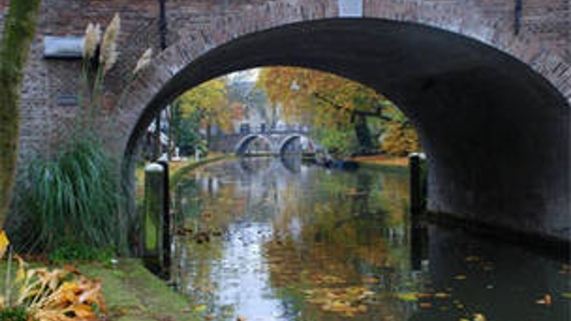 amsterdam_13.jpg