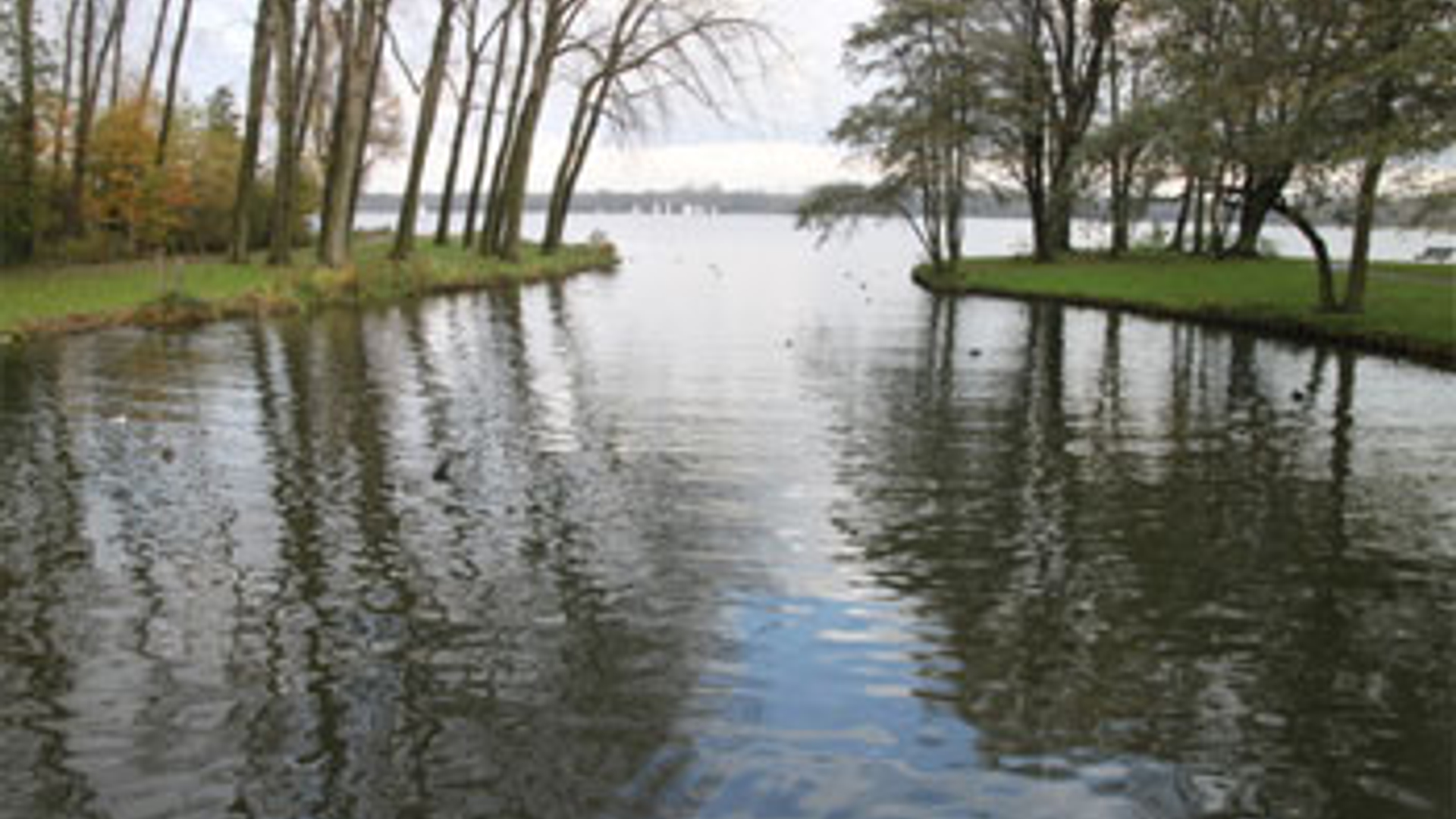 Rotterdam-Kralingse-plassen.jpg