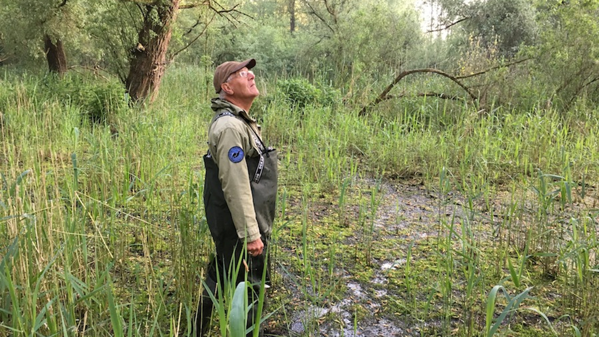 Dick_Jonkers_Dode_Hond