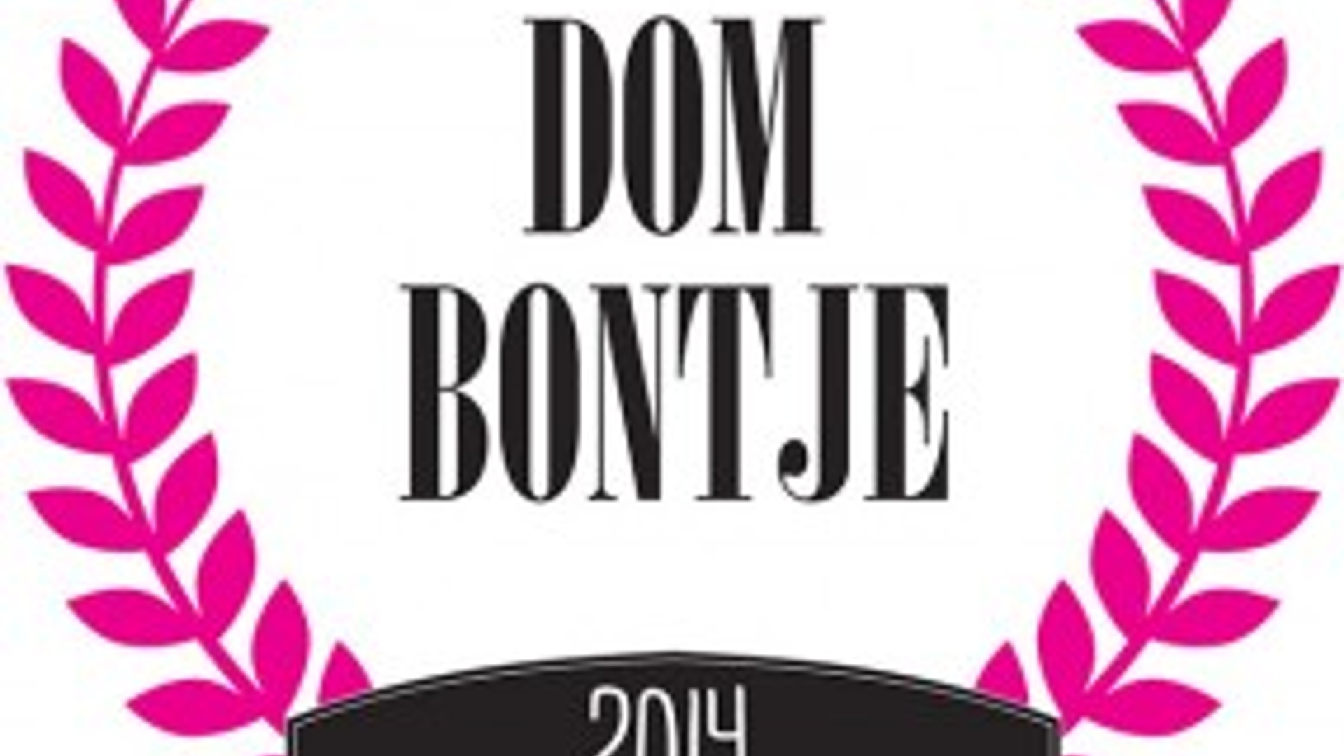 dombontje2014_logo-285x300.jpg