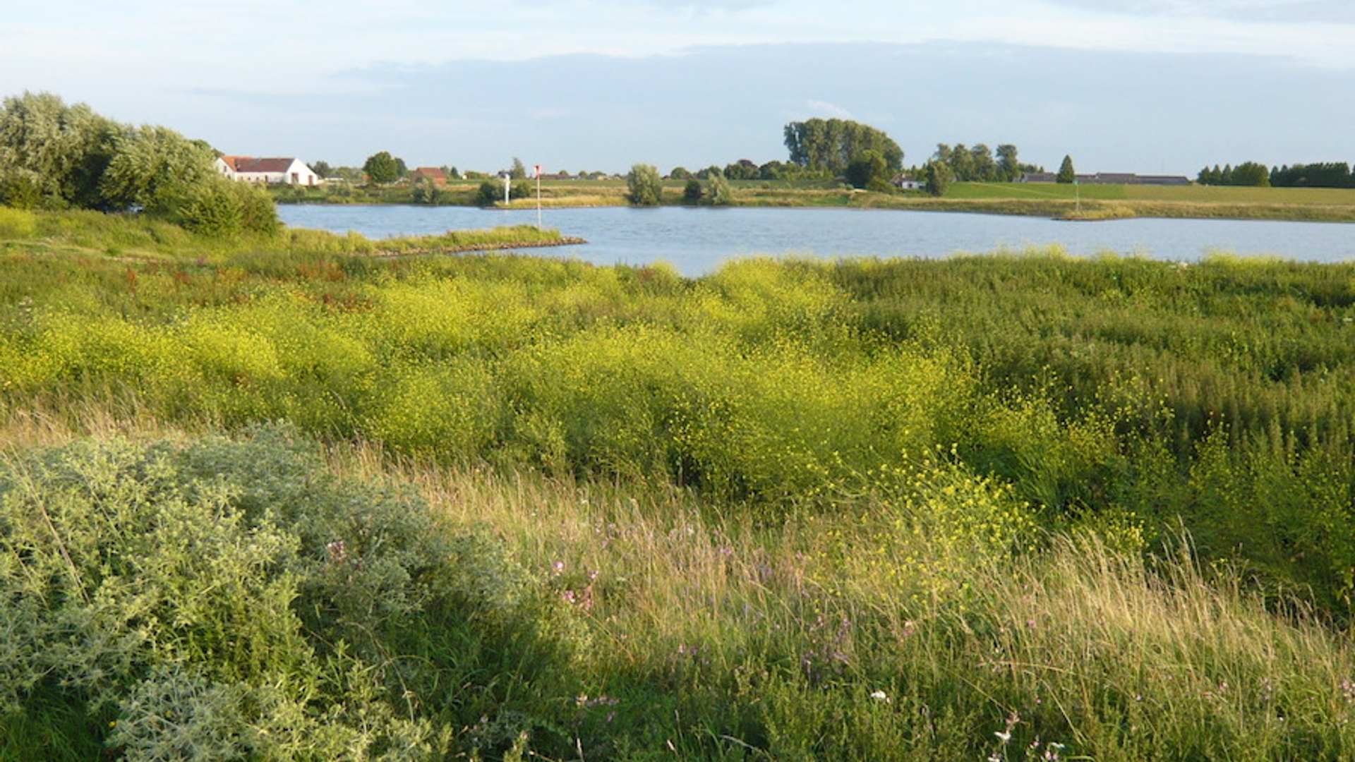 blauwe kamer 160708- 24 foto Ellis Plokker