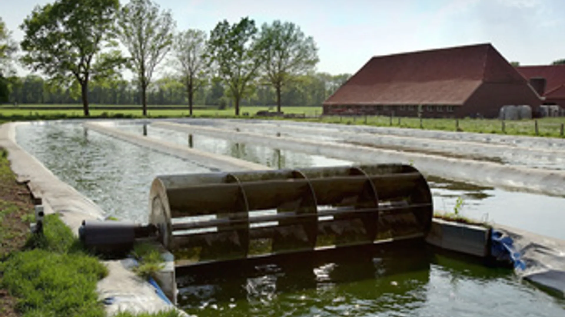 ingrepro_algenvijver.jpg