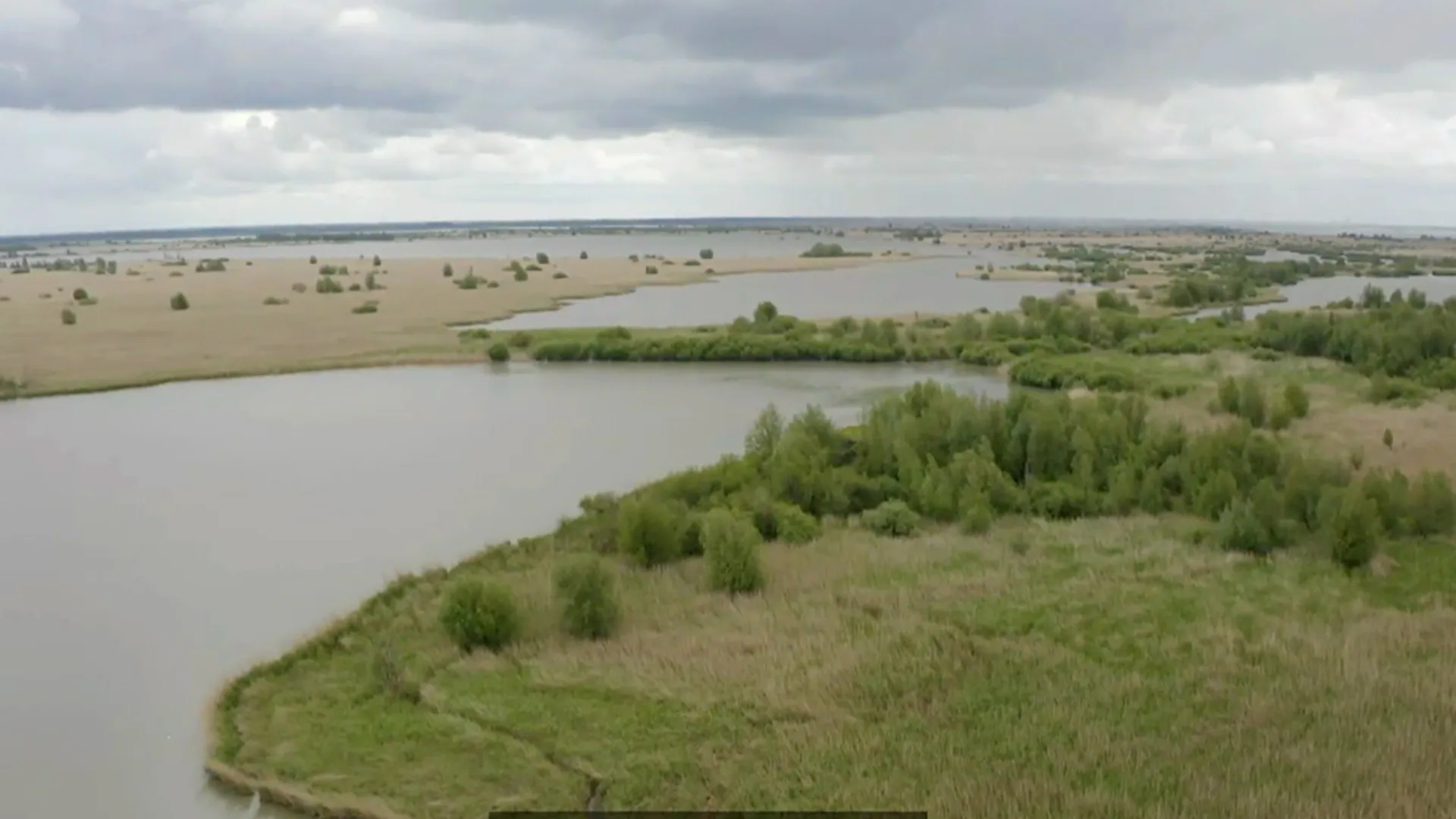 oostvaardersplassen
