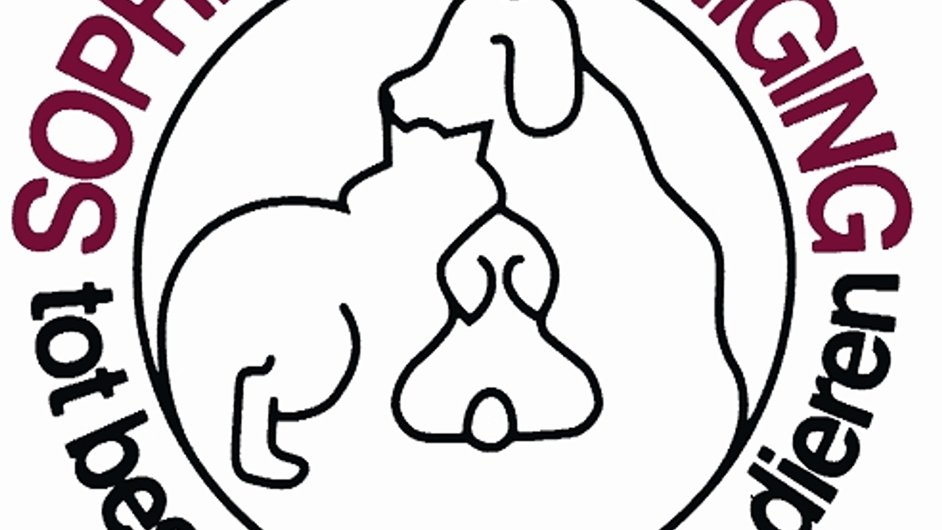 logoSV.jpg
