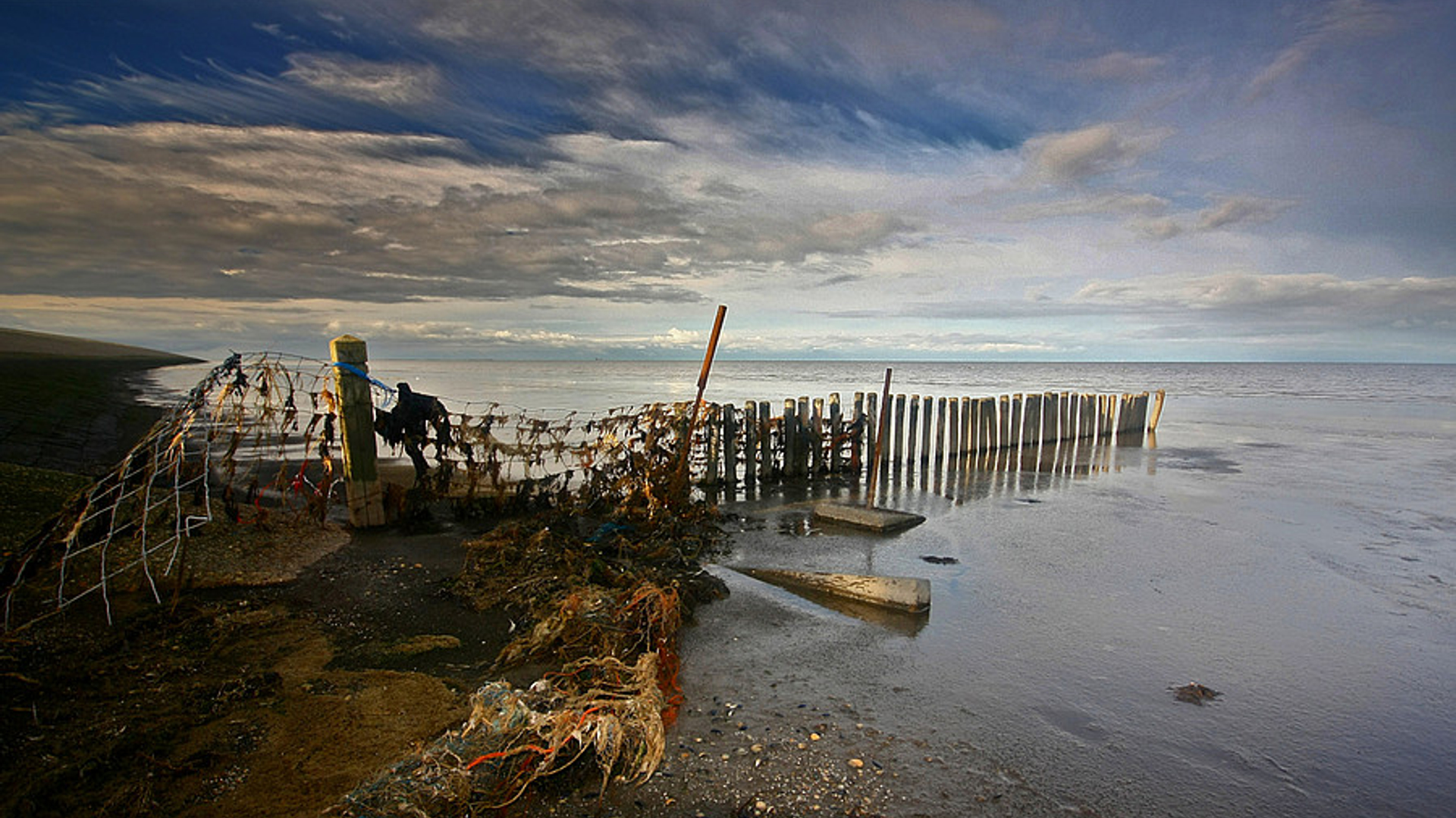 waddenzee_moddergat.jpg