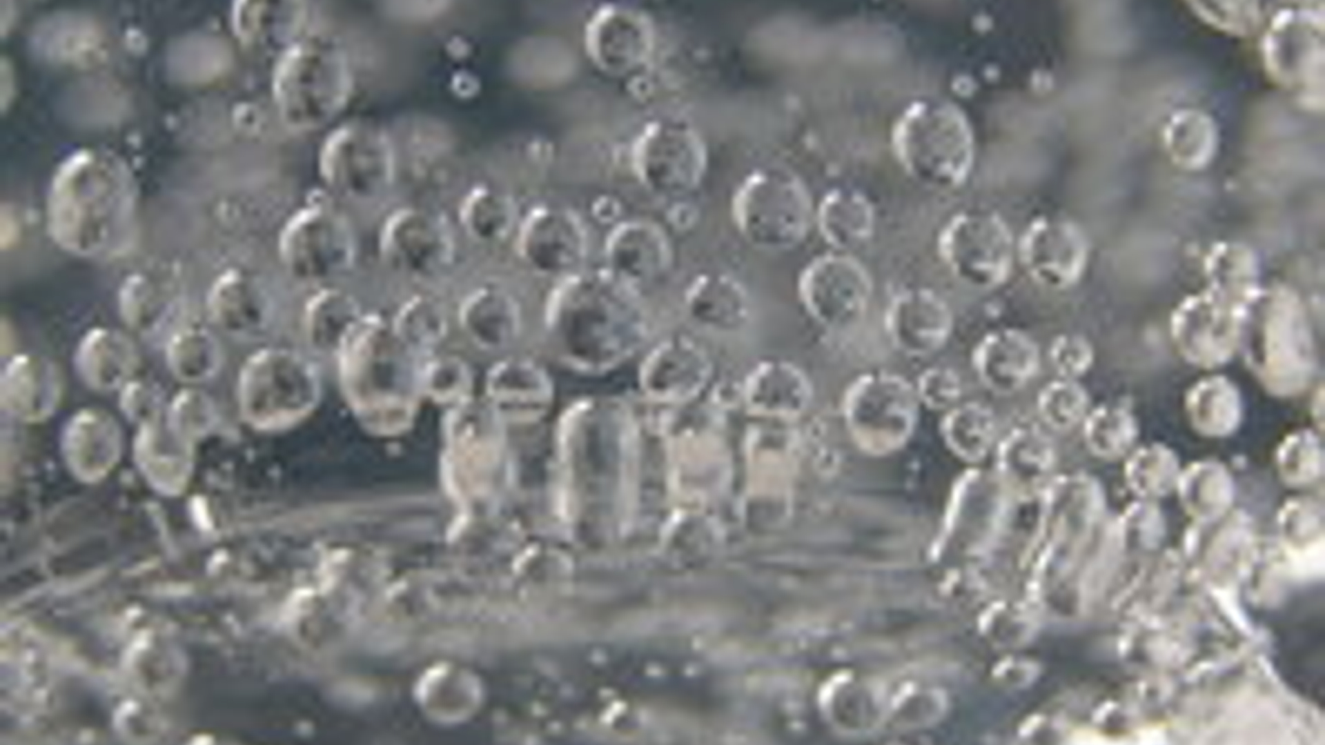 water-in-glass-1526862_01.jpg