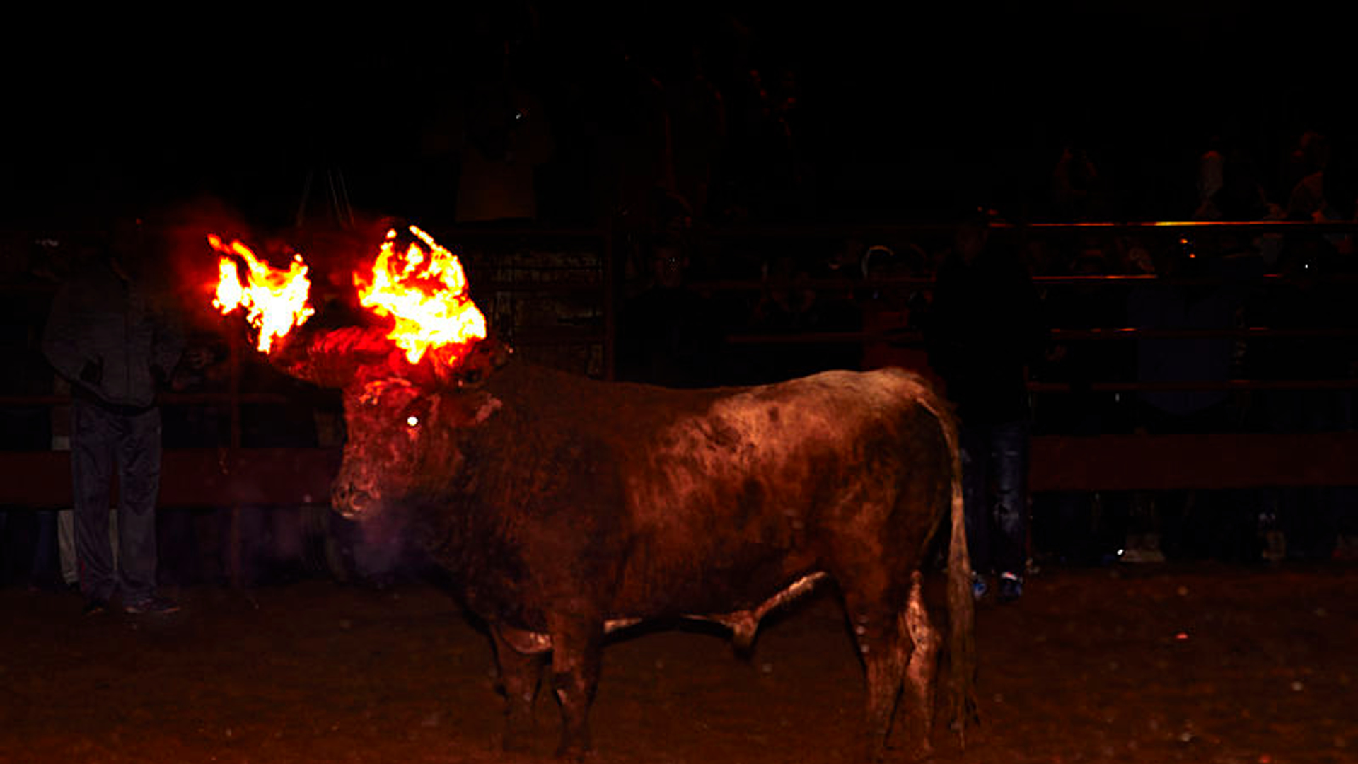 Toro_Jubilo.jpg
