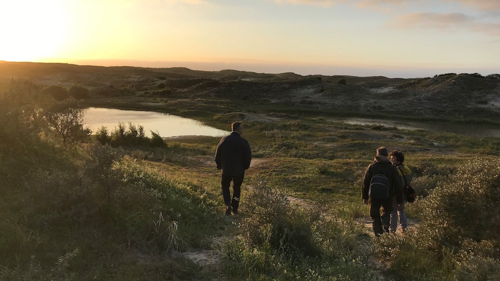 Kikkervalleien in Meijendel