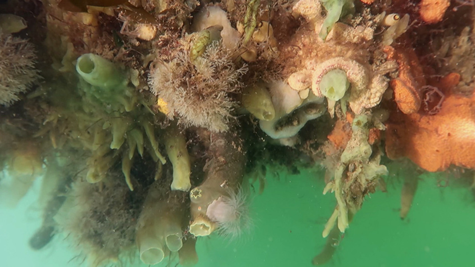 afl 15 terschelling_def_layerd_frame_21615