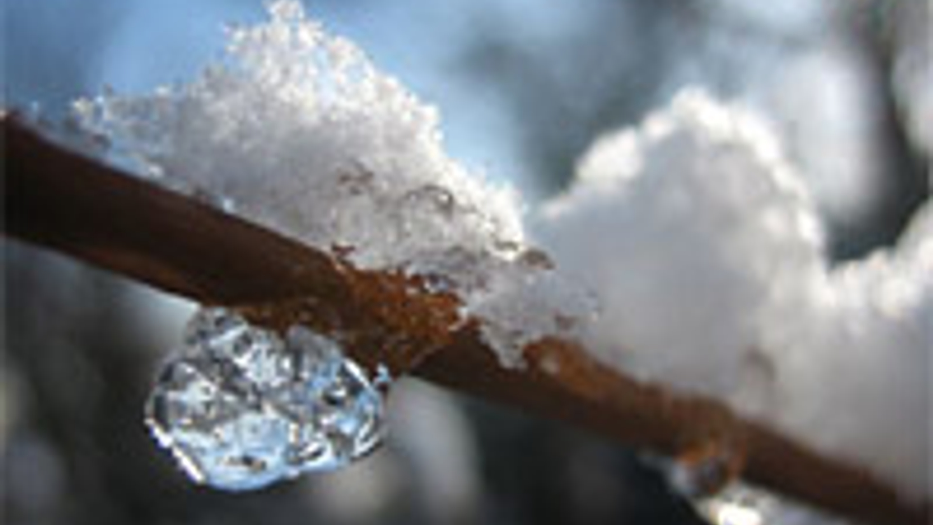 sneeuw.jpg