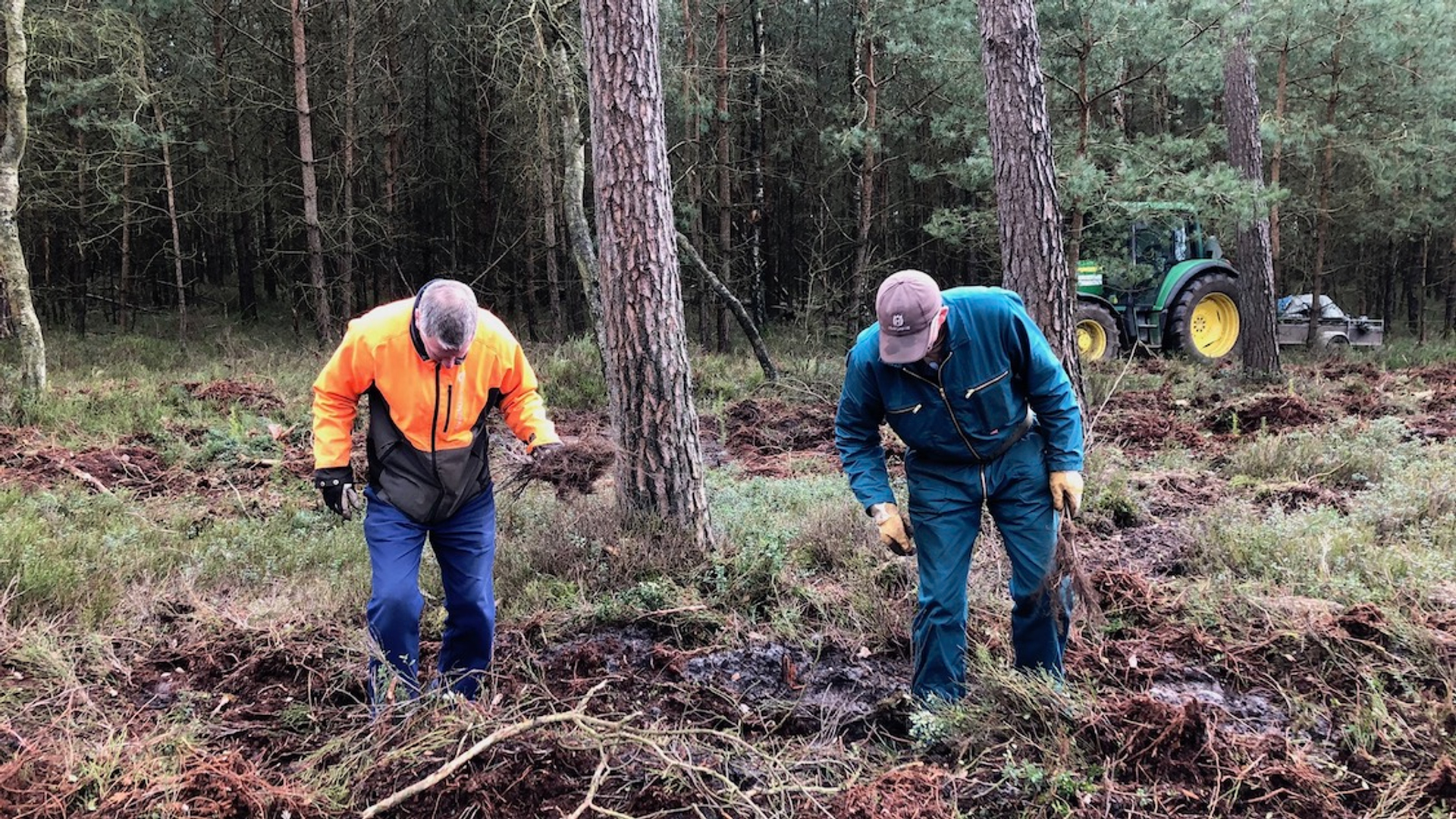 Aanleg bos van de toekomst