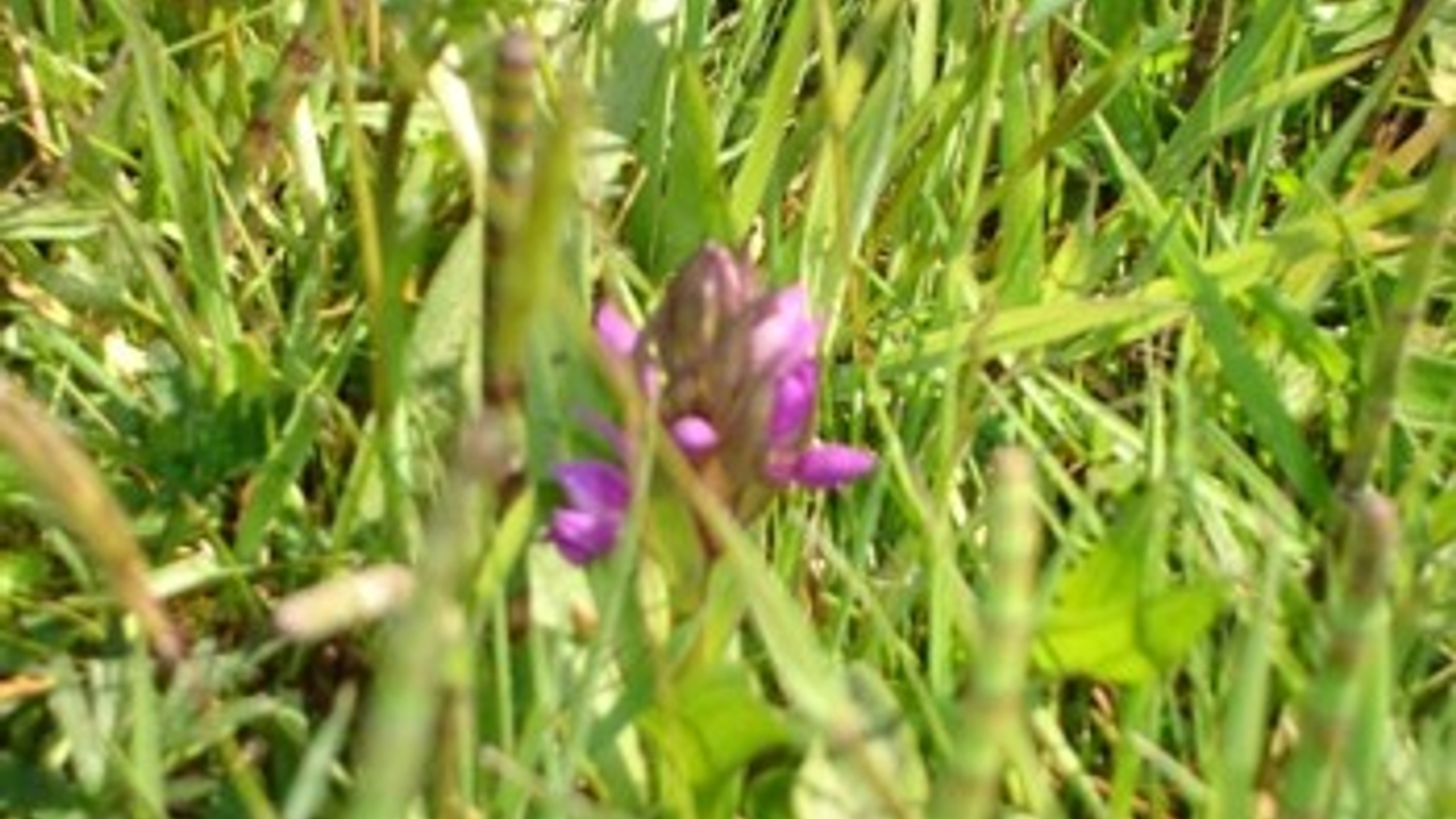 vv_newsimg_319306.jpg
