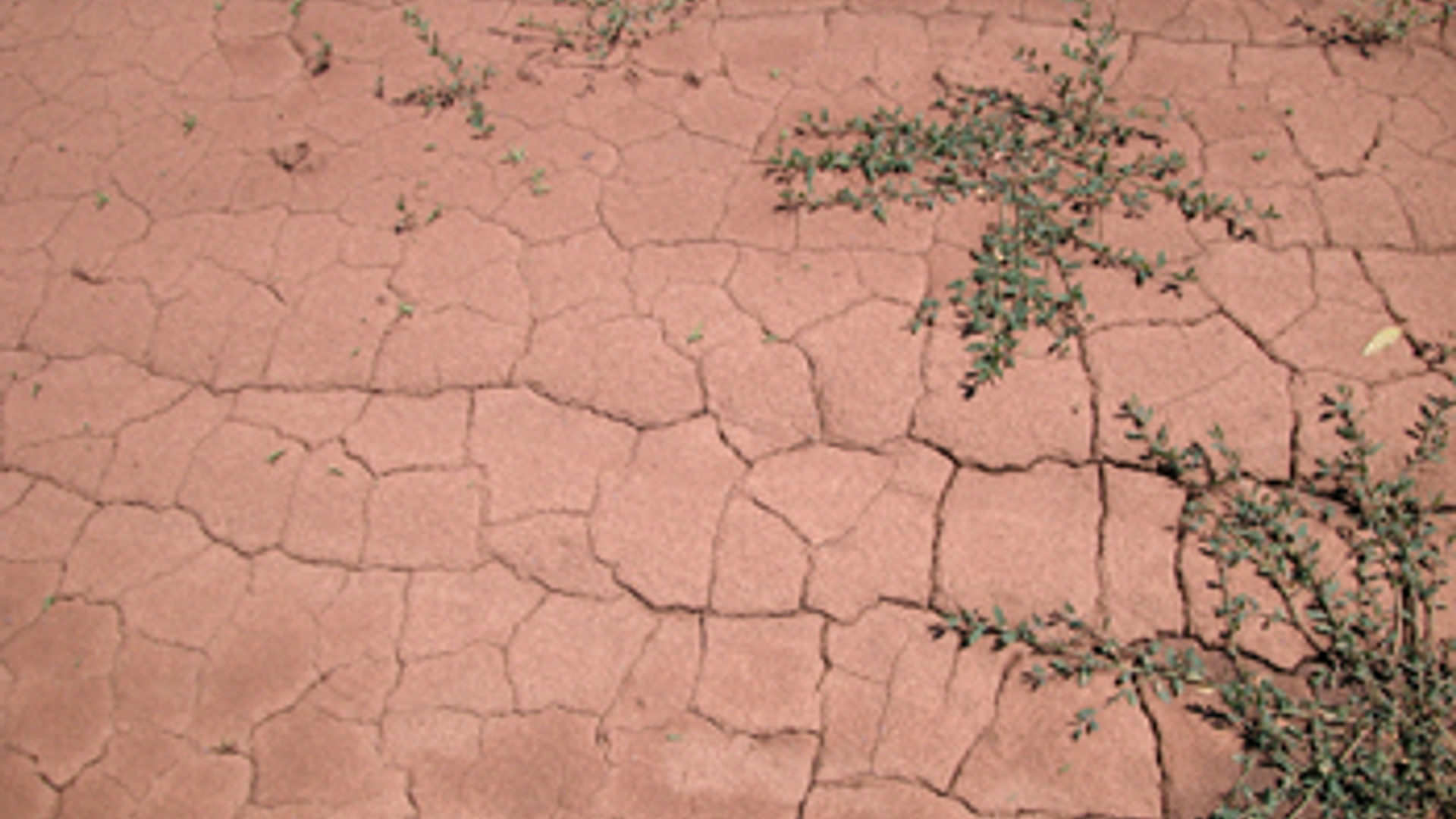 droogte_04.jpg
