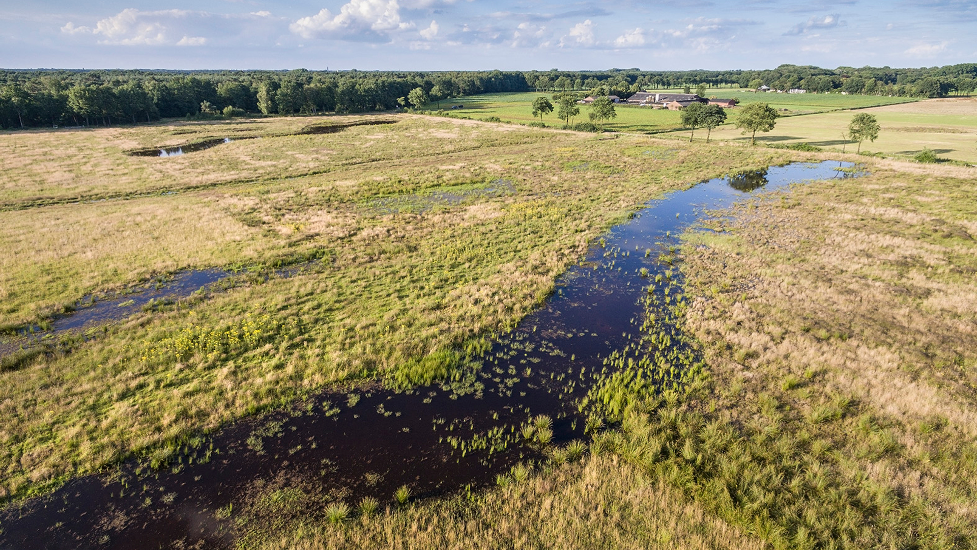 klimaatbuffer siendonk - Bob Luijks