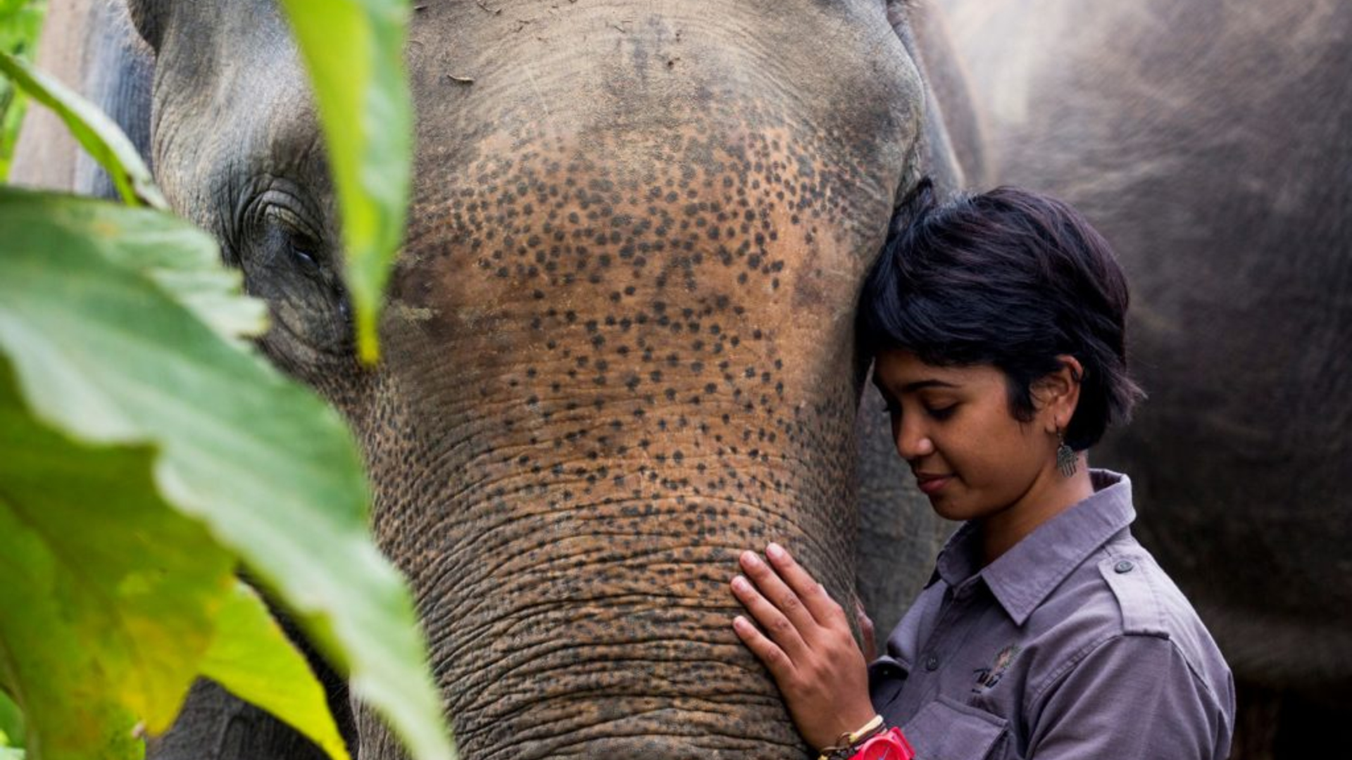 future of nature award 2017, winnares Farwiza Farhan uit Indonesia