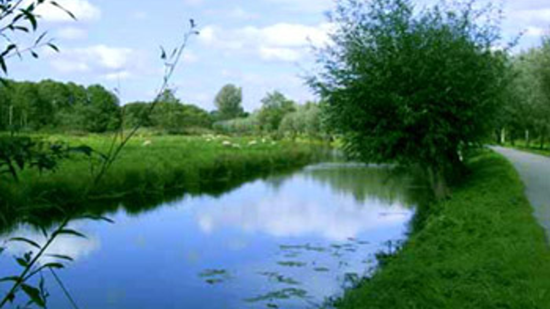 vv_newsimg_150503.jpg