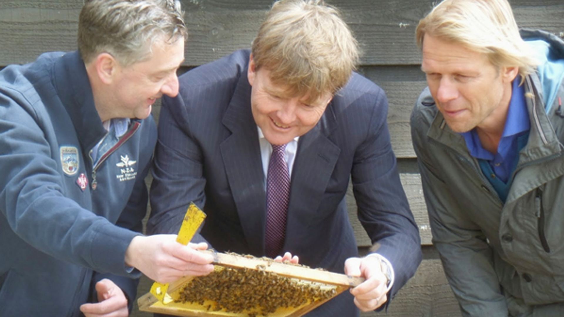 Willem-Alexander.jpg