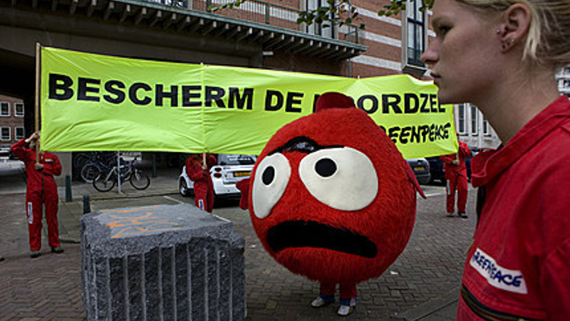 de-greenpeace-guppy-s-voeren-a.jpg