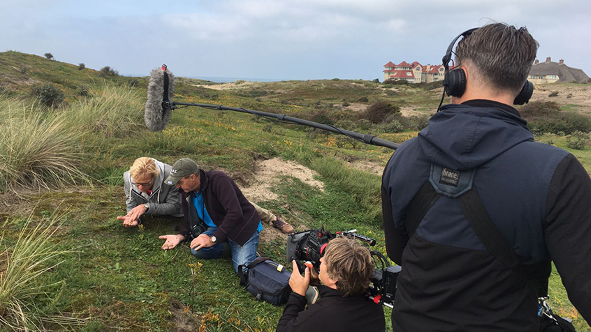 wasplaten in duinen