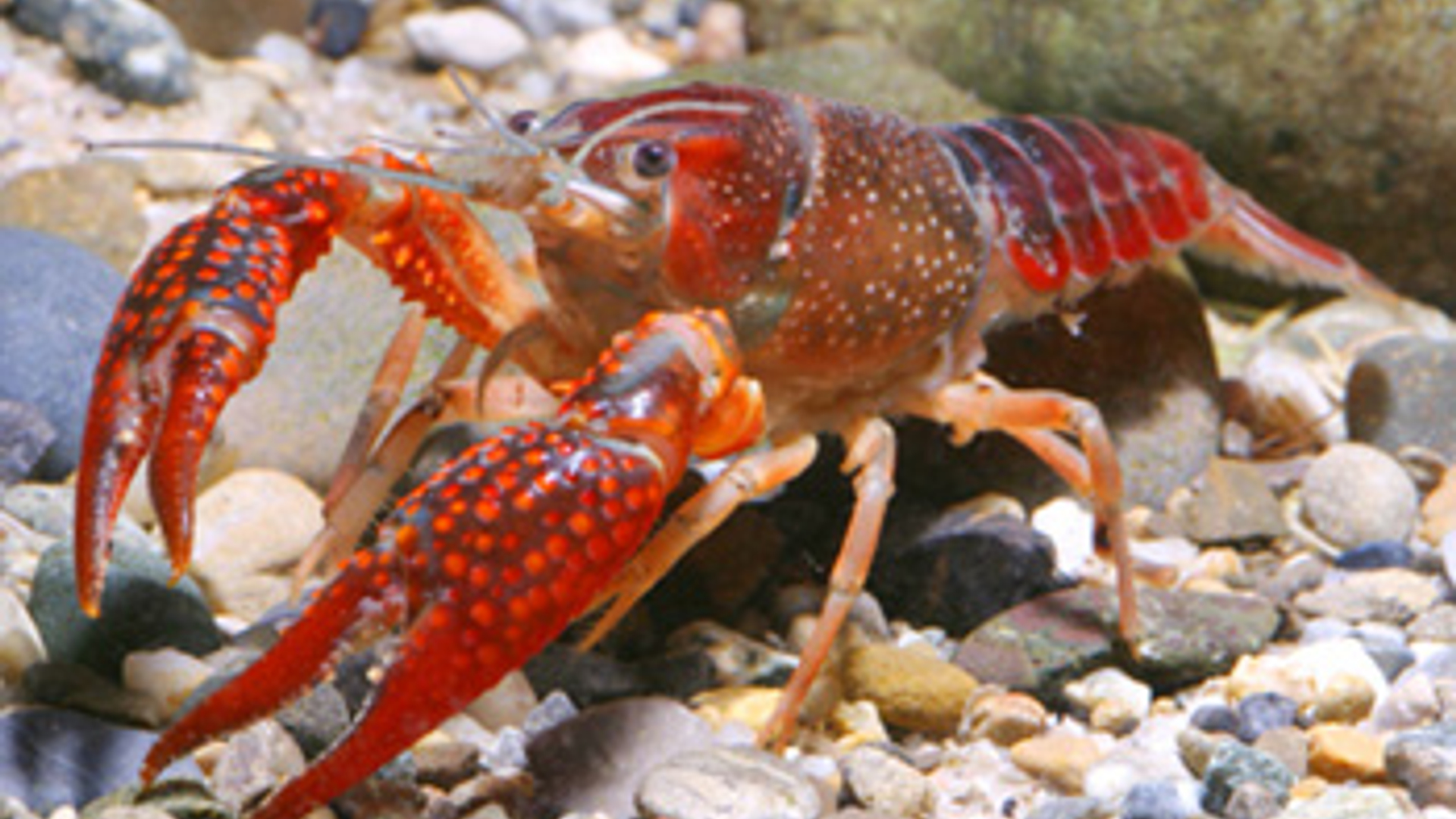 vv_newsimg_309105.jpg