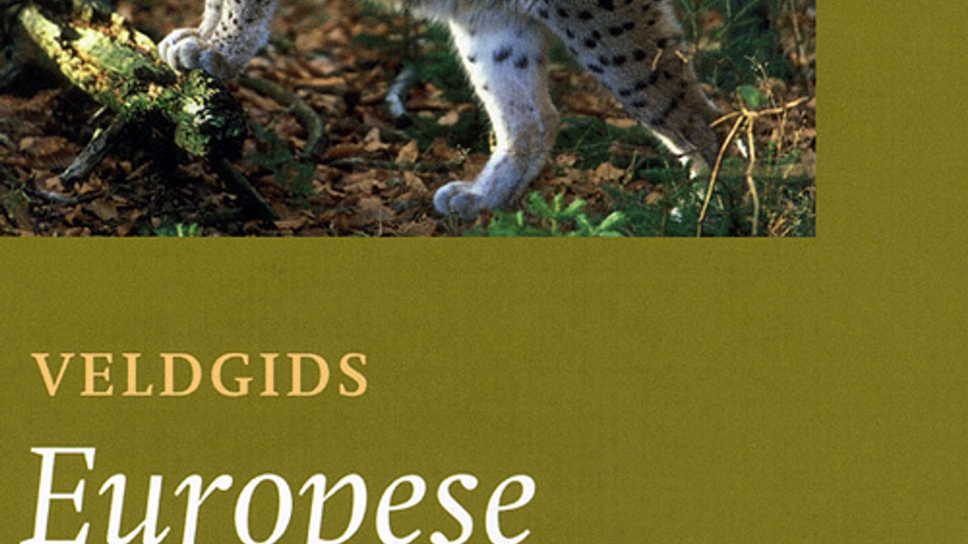 veldgids_zoogdieren_01.jpg