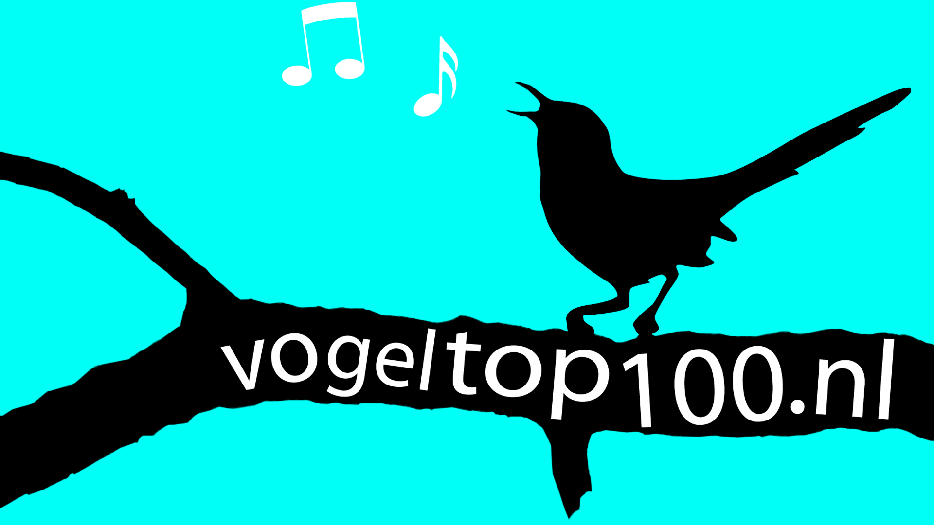 vogeltop100_12.jpg