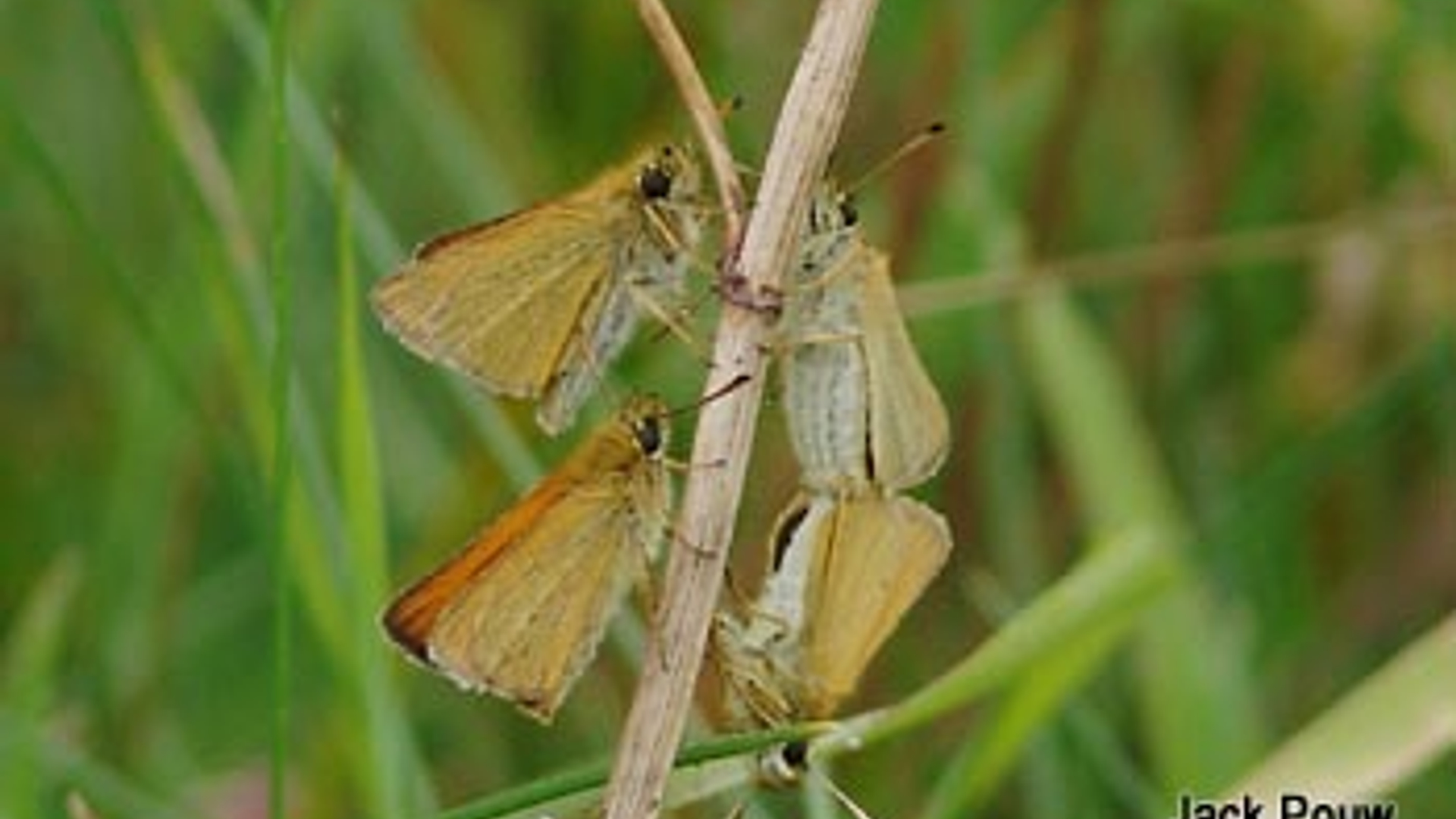 vv_newsimg_117332.jpg