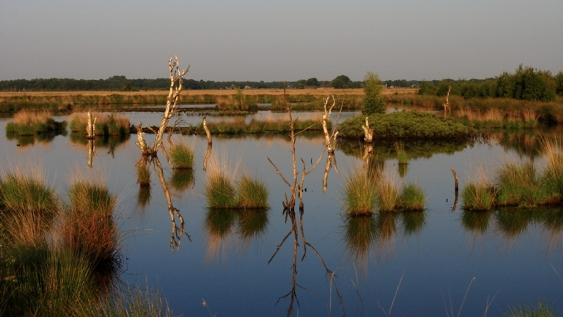 fochtelooerveen_01.jpg
