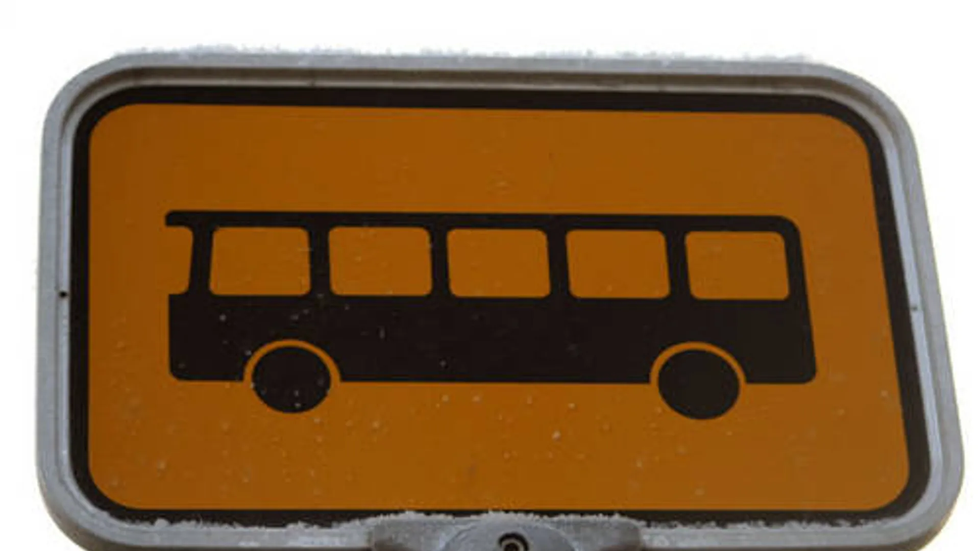 bus_13.jpg