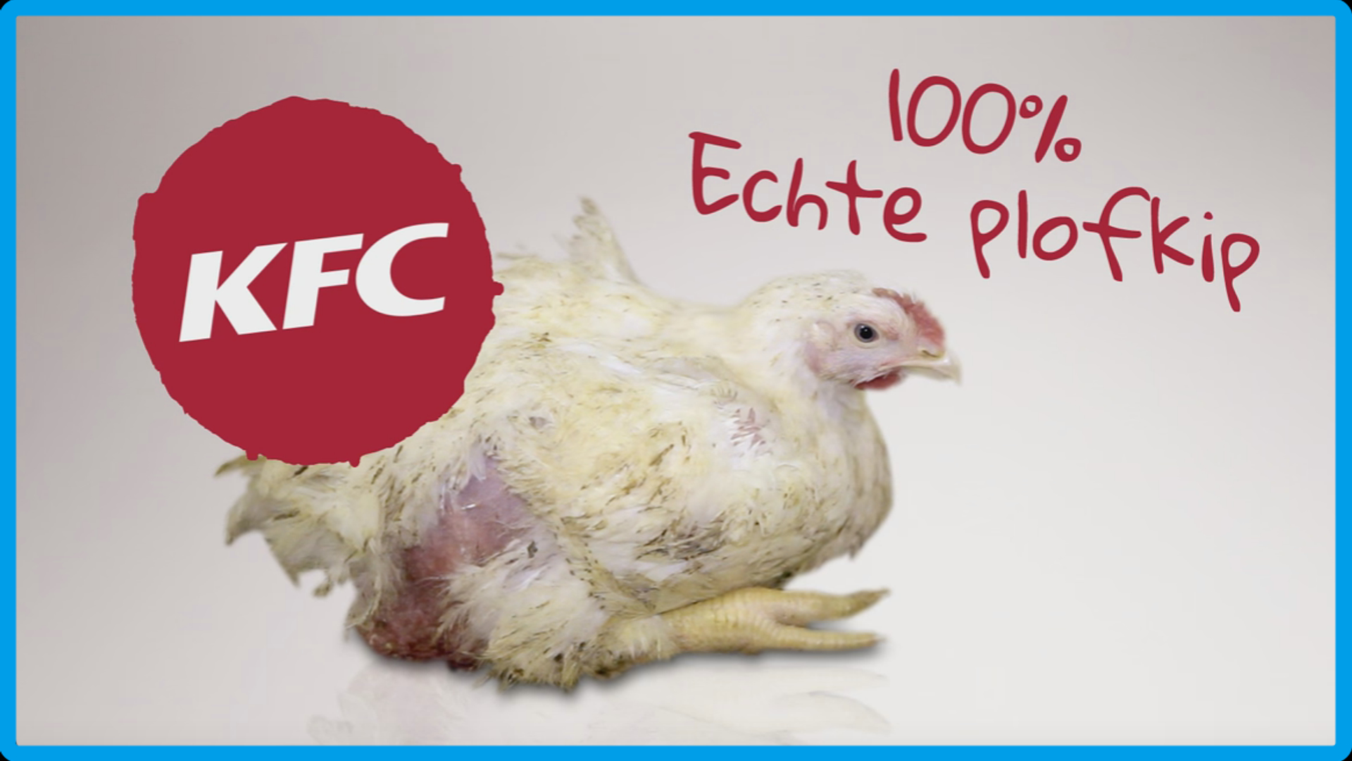 KFC-kip