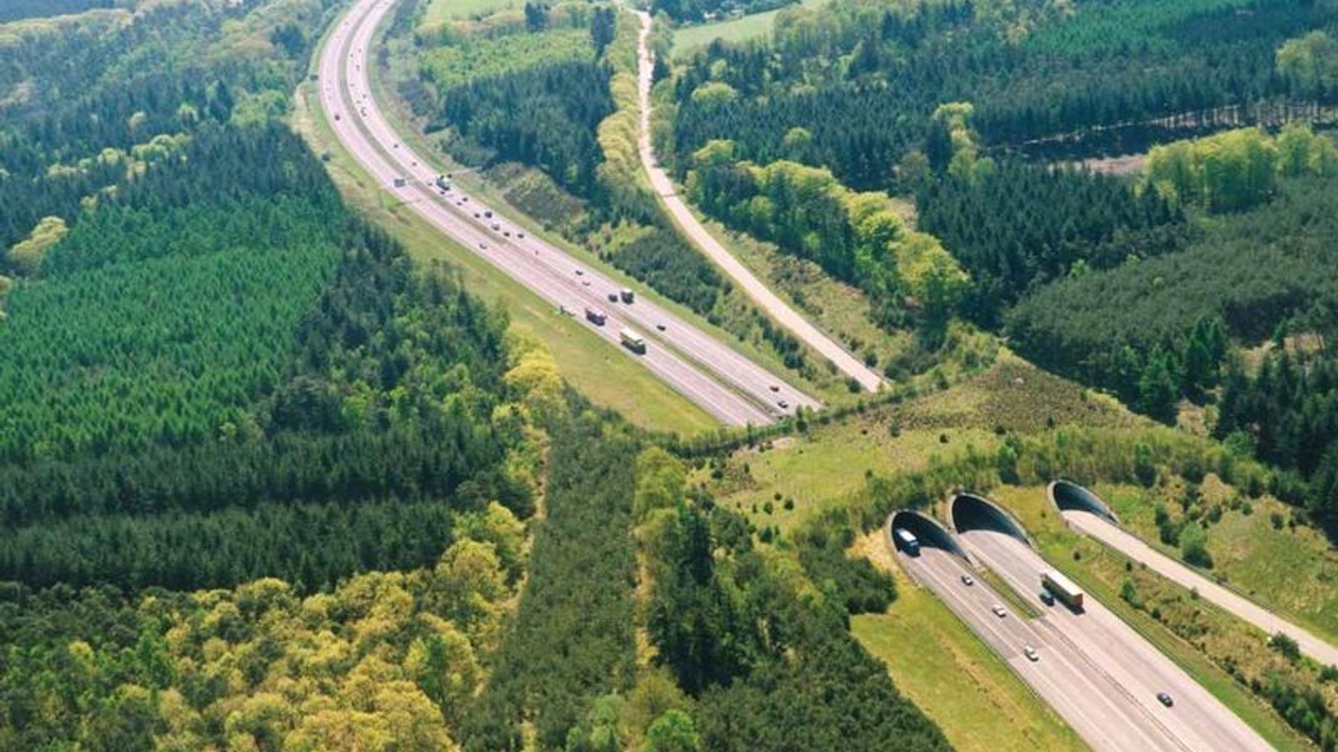 Ecoduct_Woeste_Hoeve.jpg