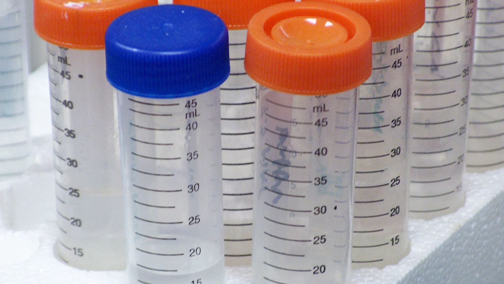 laboratorium.jpg