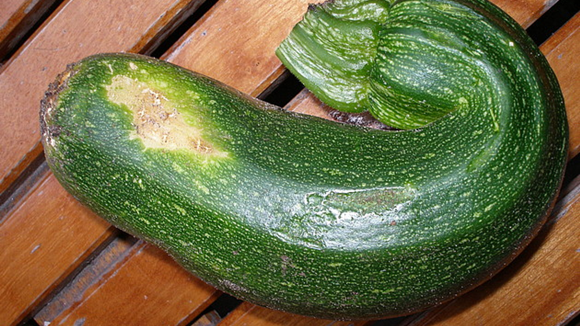 courgette.jpg