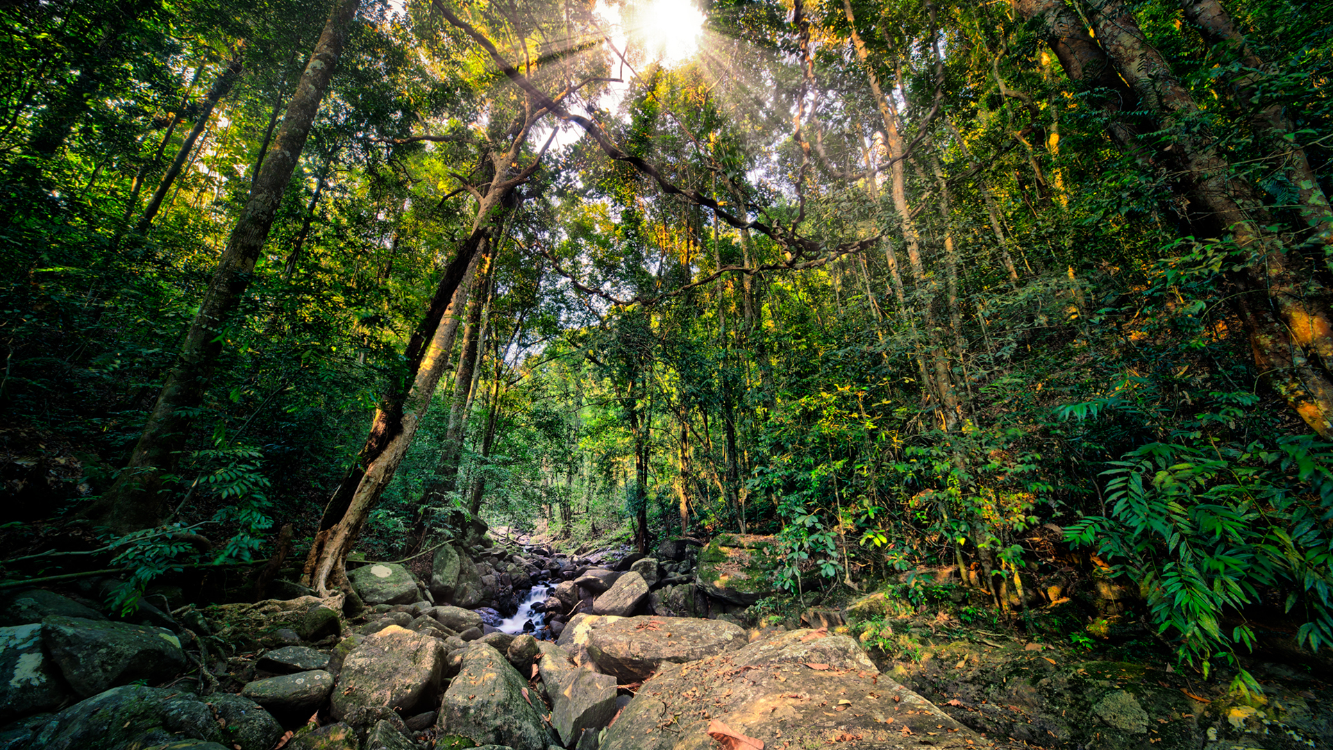 sri_lanka.jpg