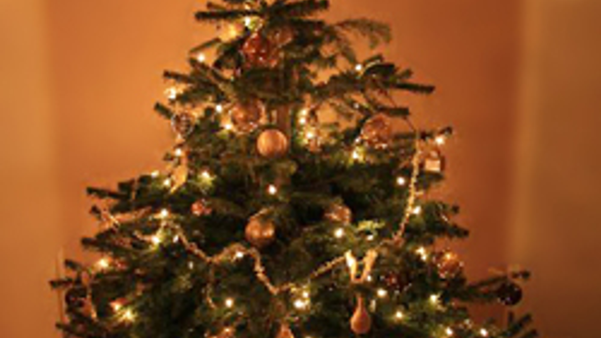 kerstboom_08.jpg