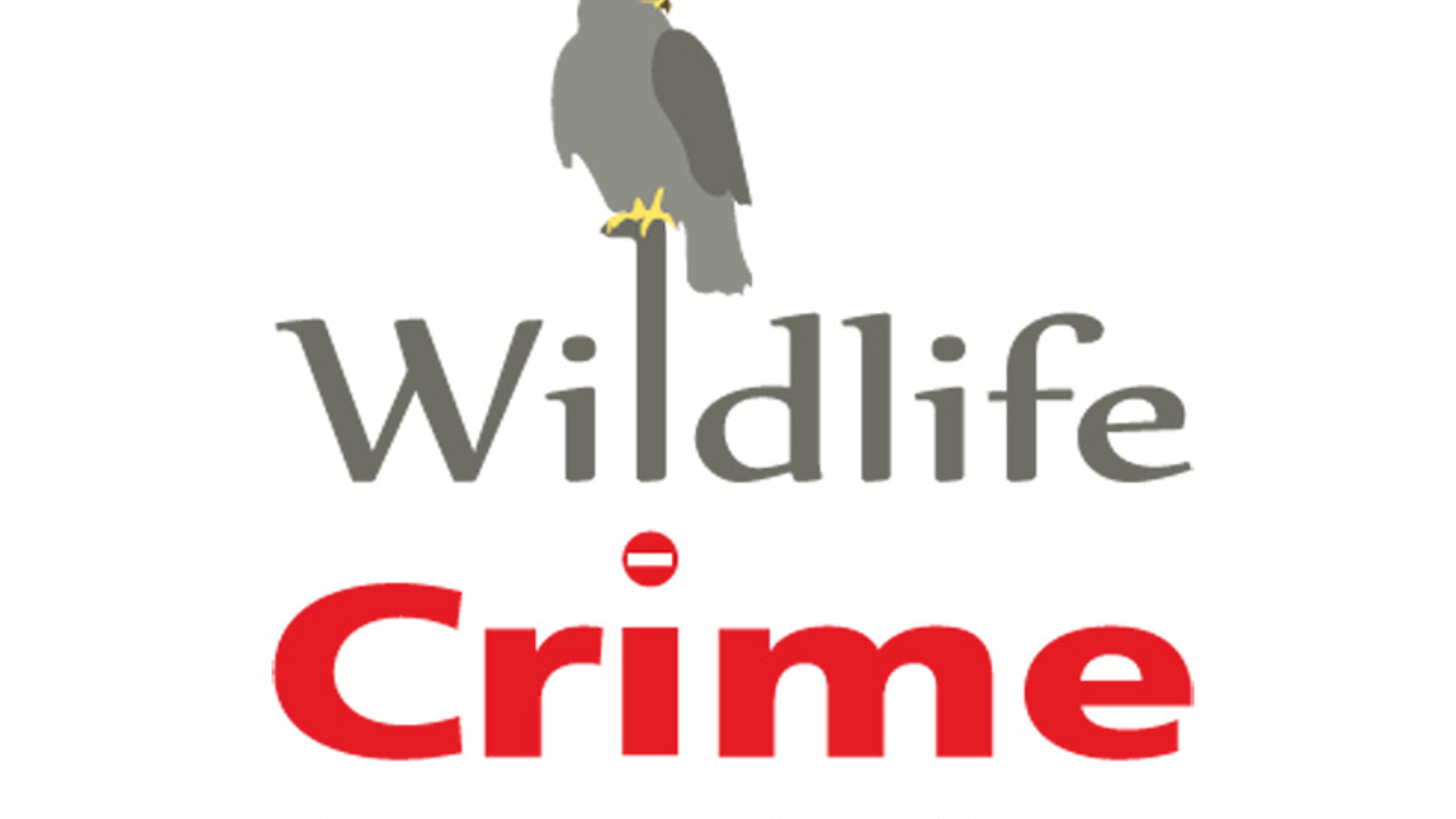 wildlife-crime_01.jpg