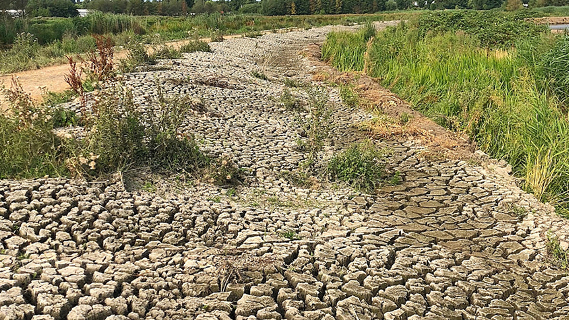 droogte dijk adrin