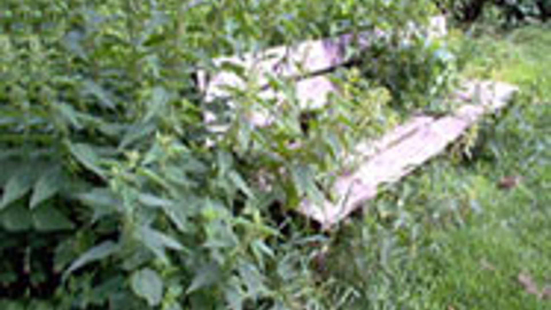 vv_newsimg_128047.jpg