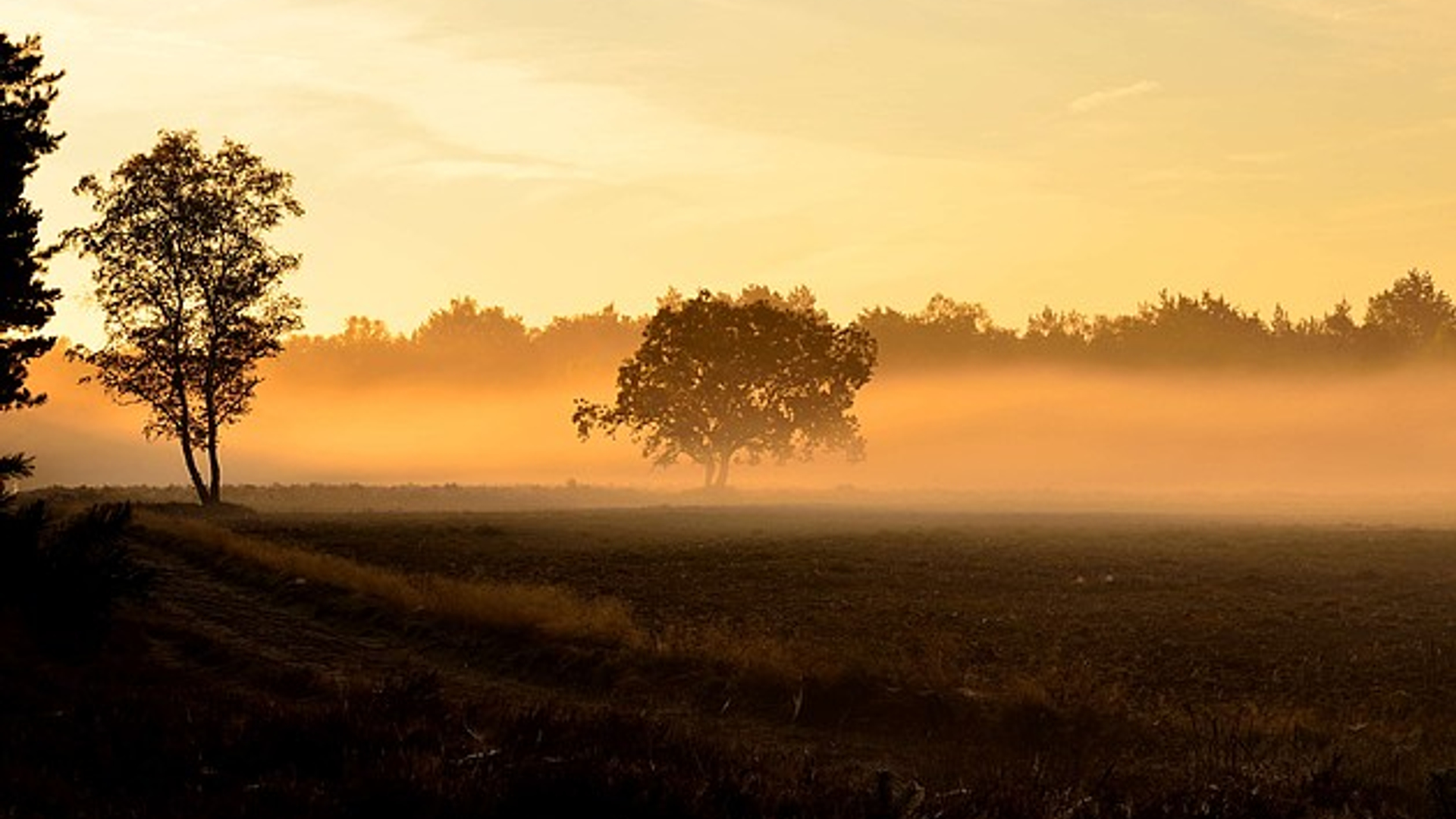 veluwe_0321Sjoerd.jpg