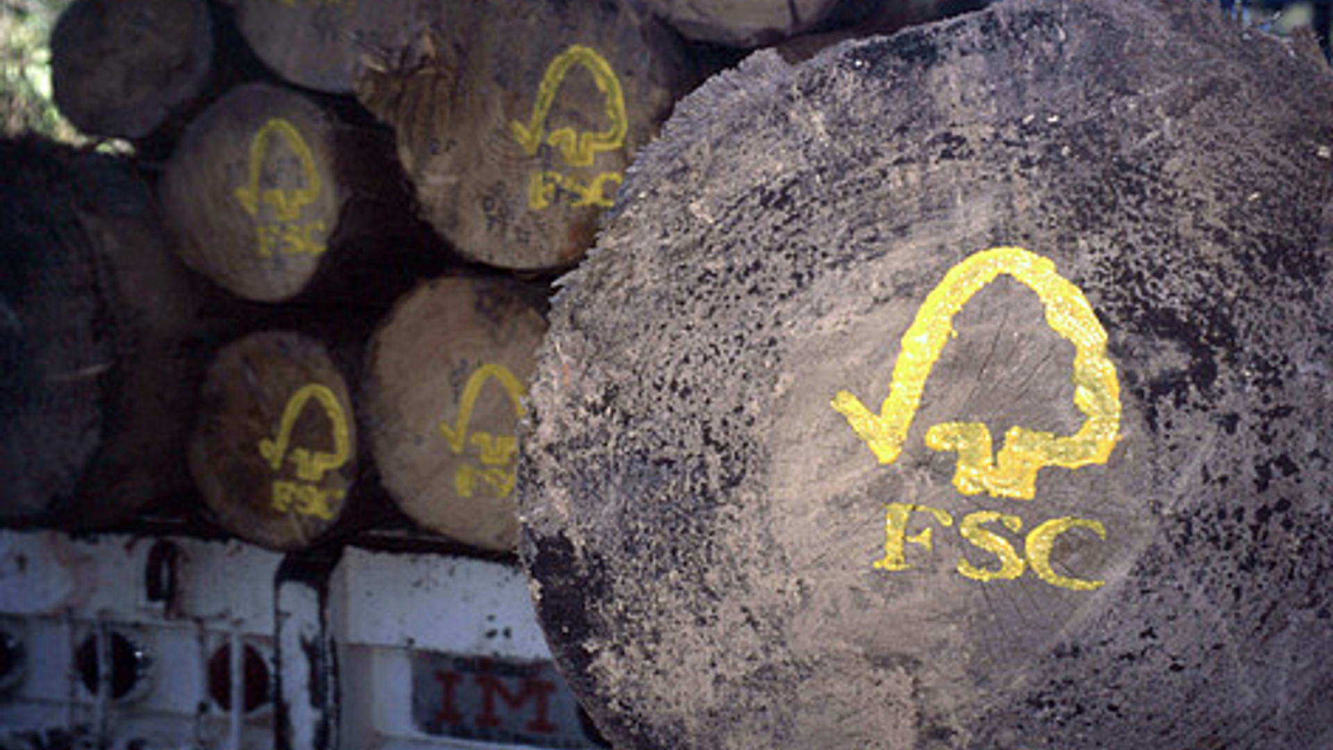 fsc_3_17042.jpg