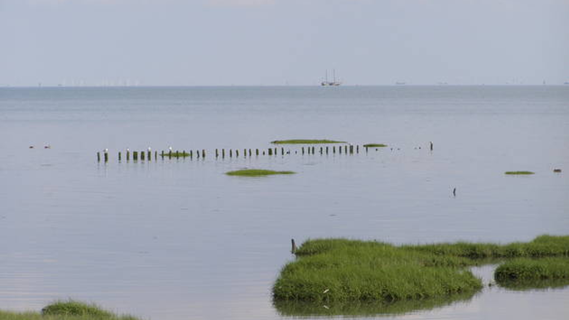 Waddenzee_01.jpg