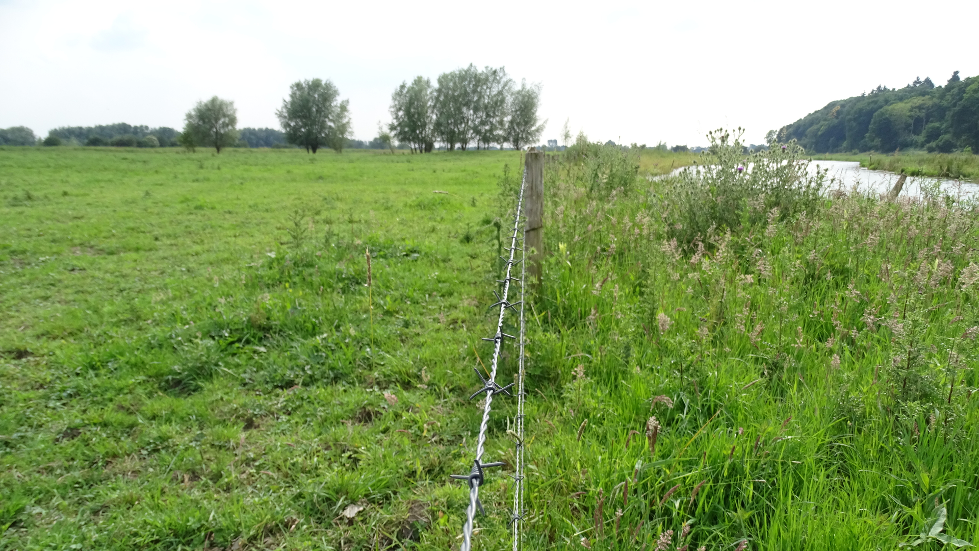 Prikkeldraad_als_scheiding_1.JPG
