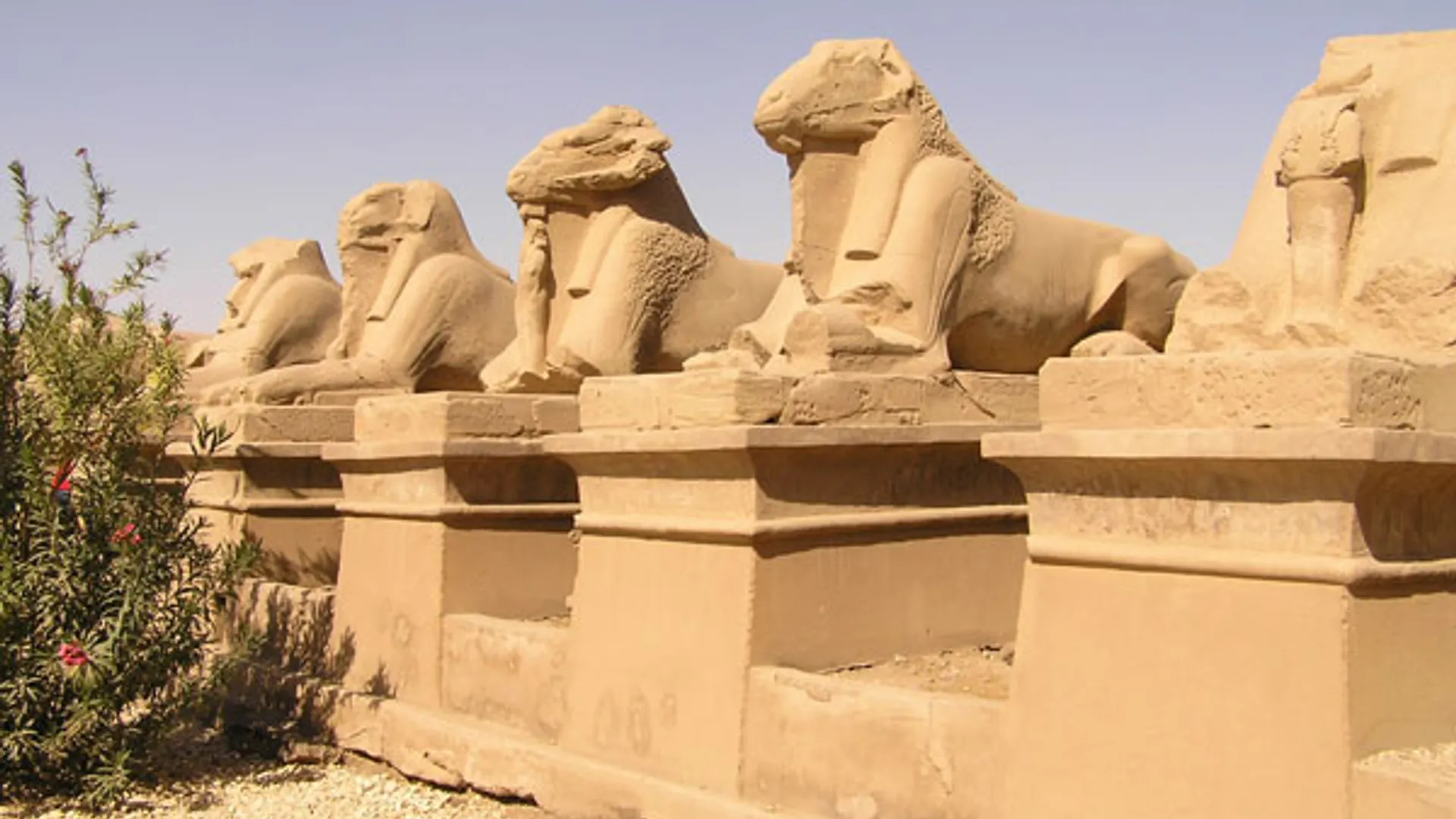 egypte.jpg