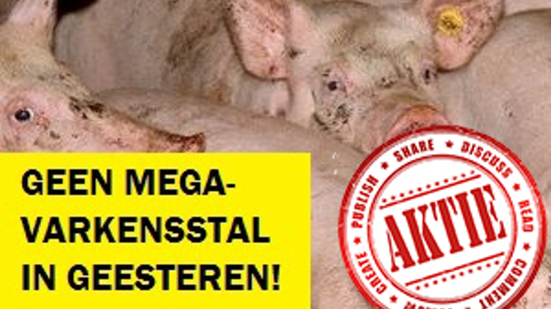Banner_Geesteren2.jpg