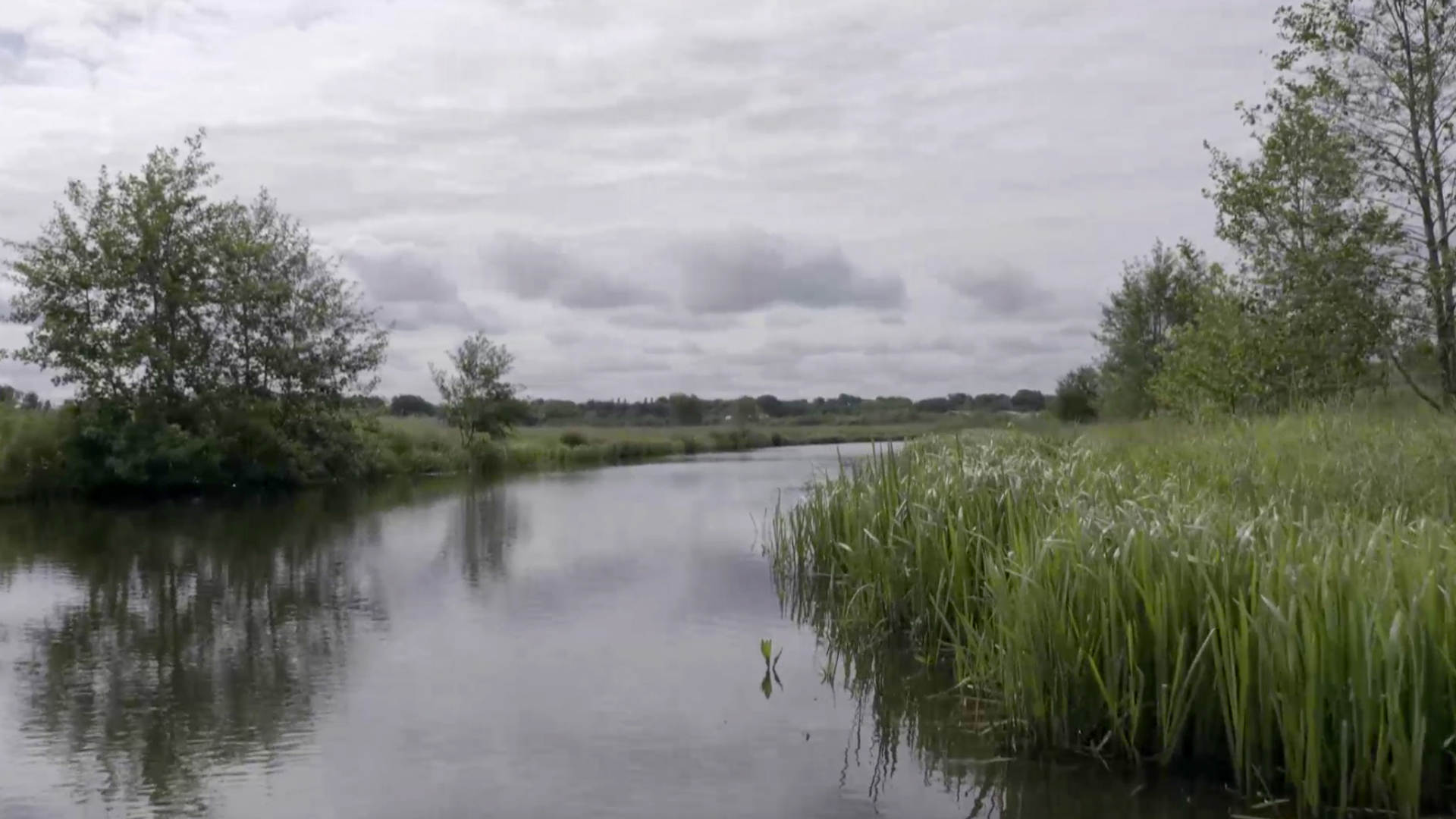 Hunzedal_VroegeVogels