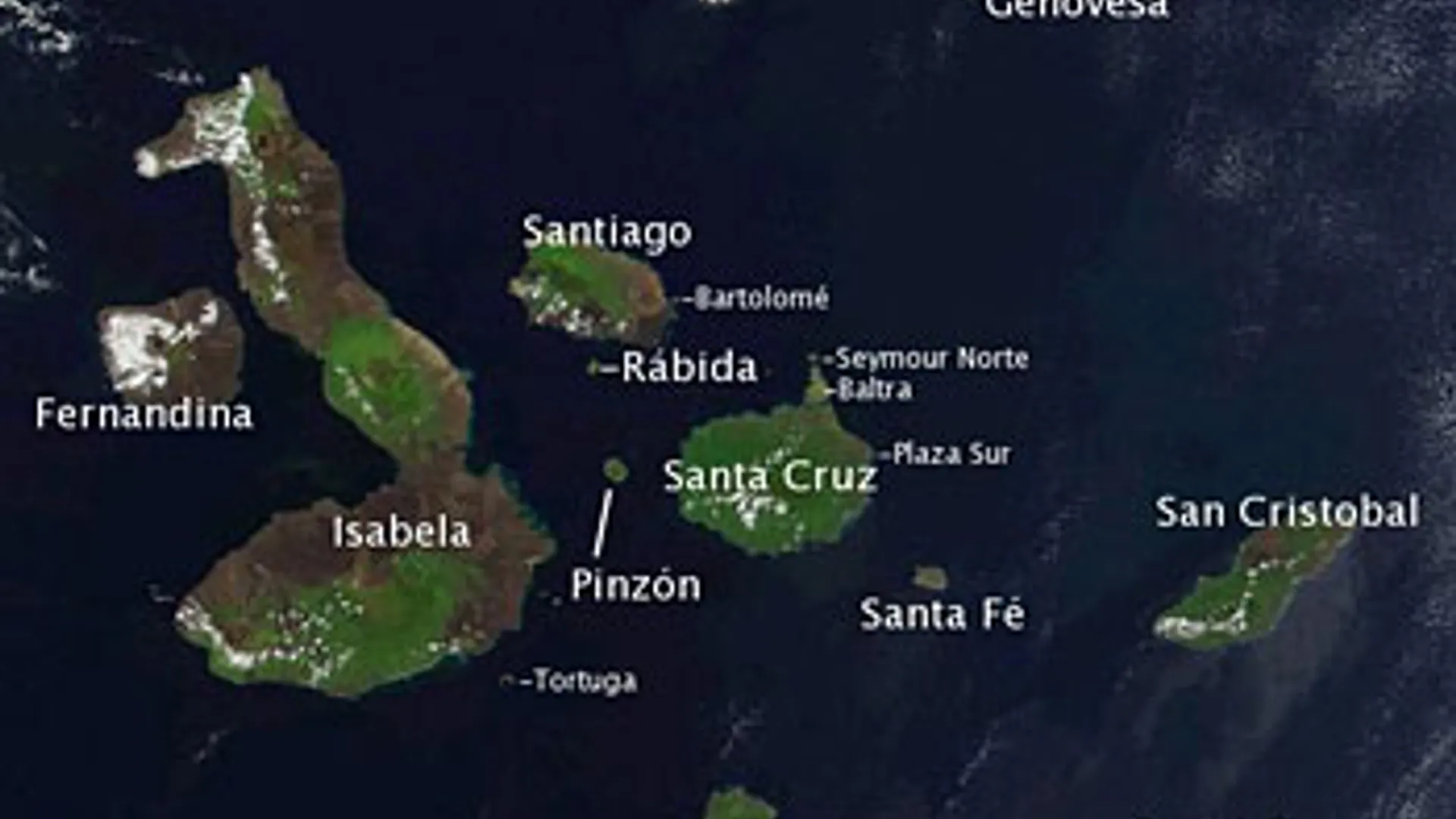 galapagos.jpg