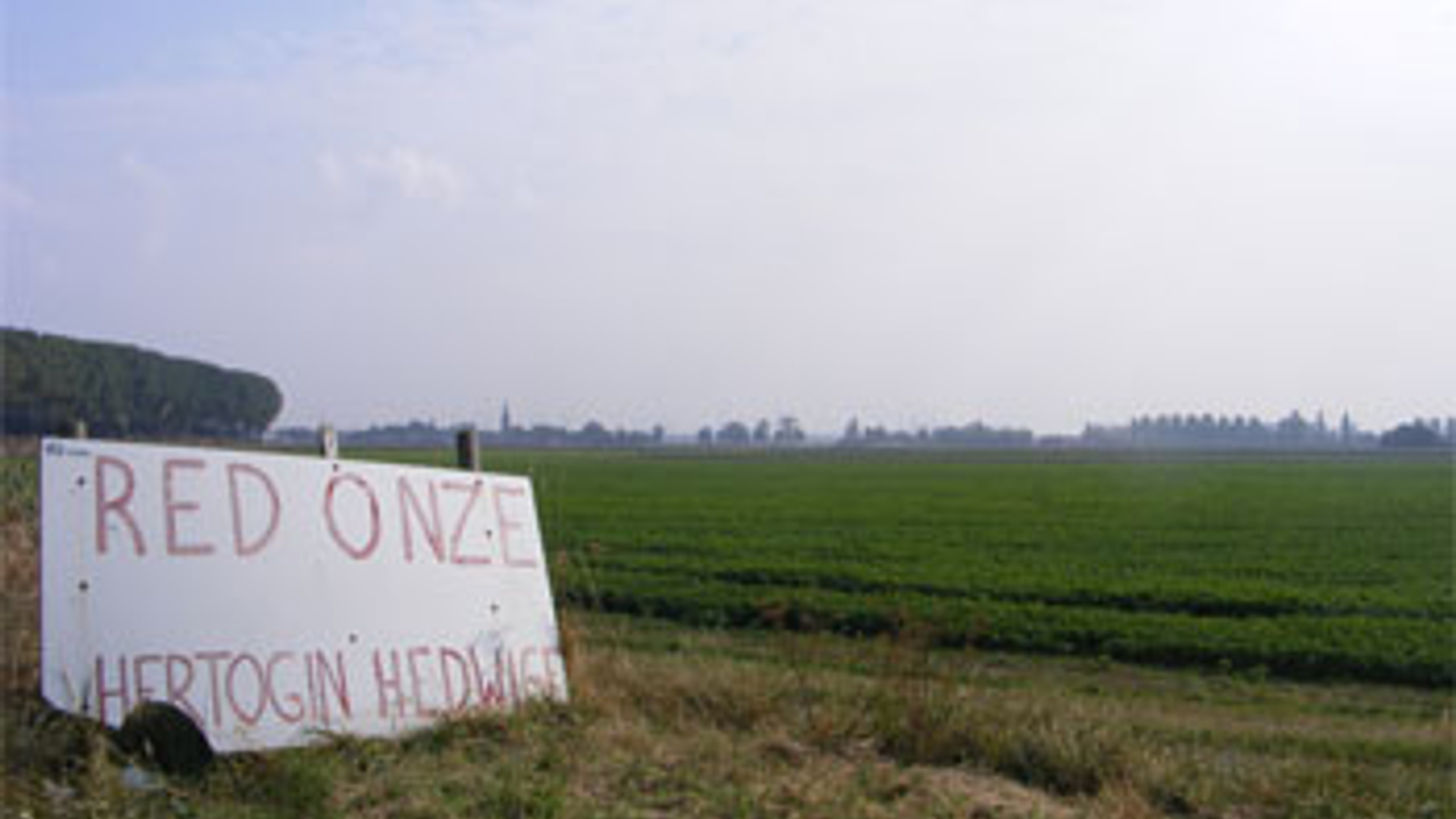 Hedwigepolder.jpg