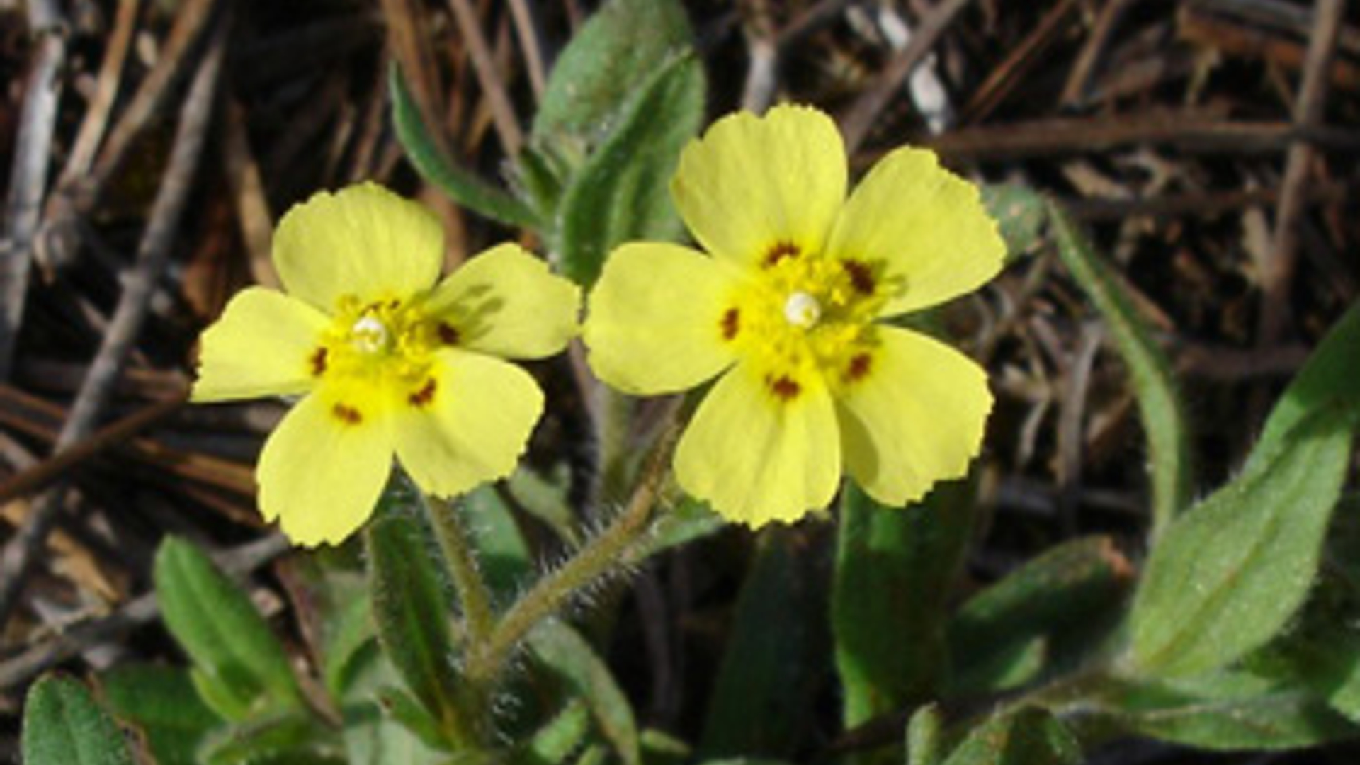 vv_newsimg_331368.jpg