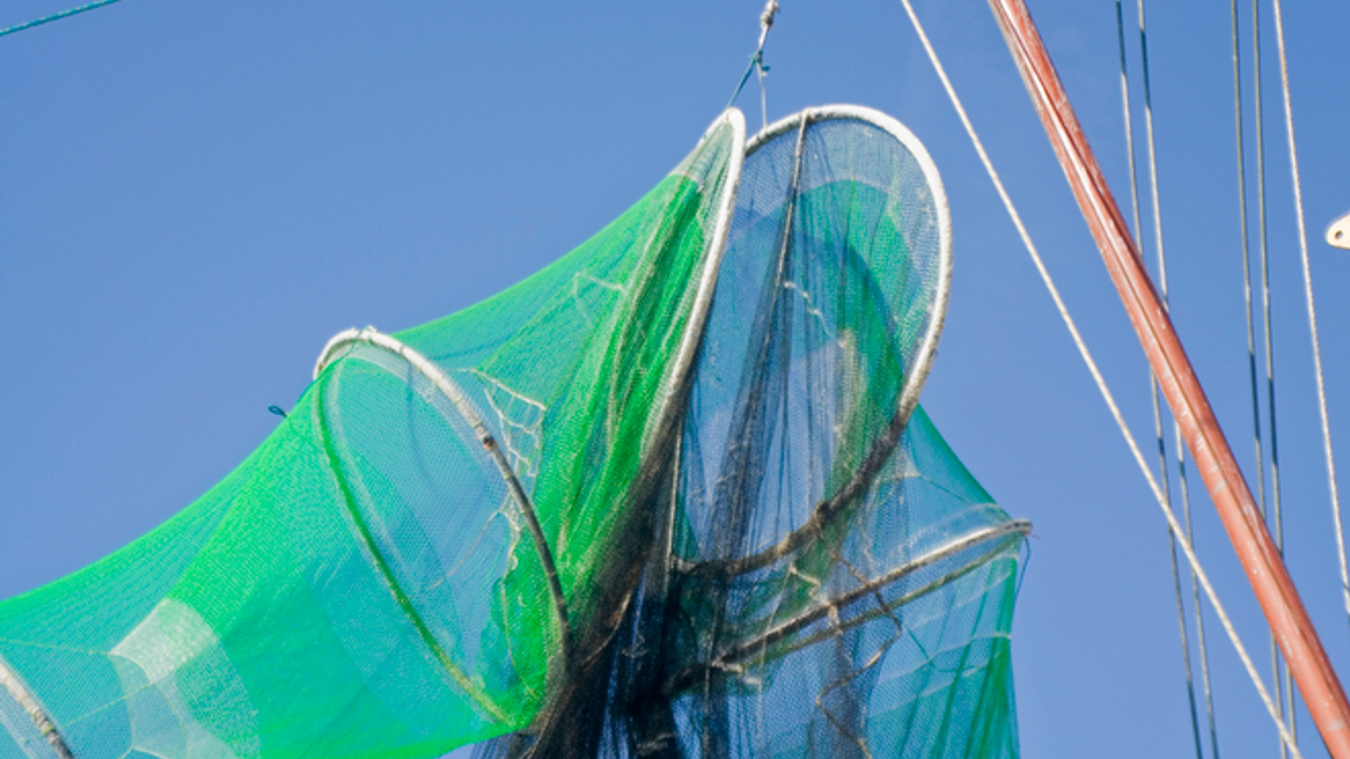 fishing-nets-3-1421155.jpg